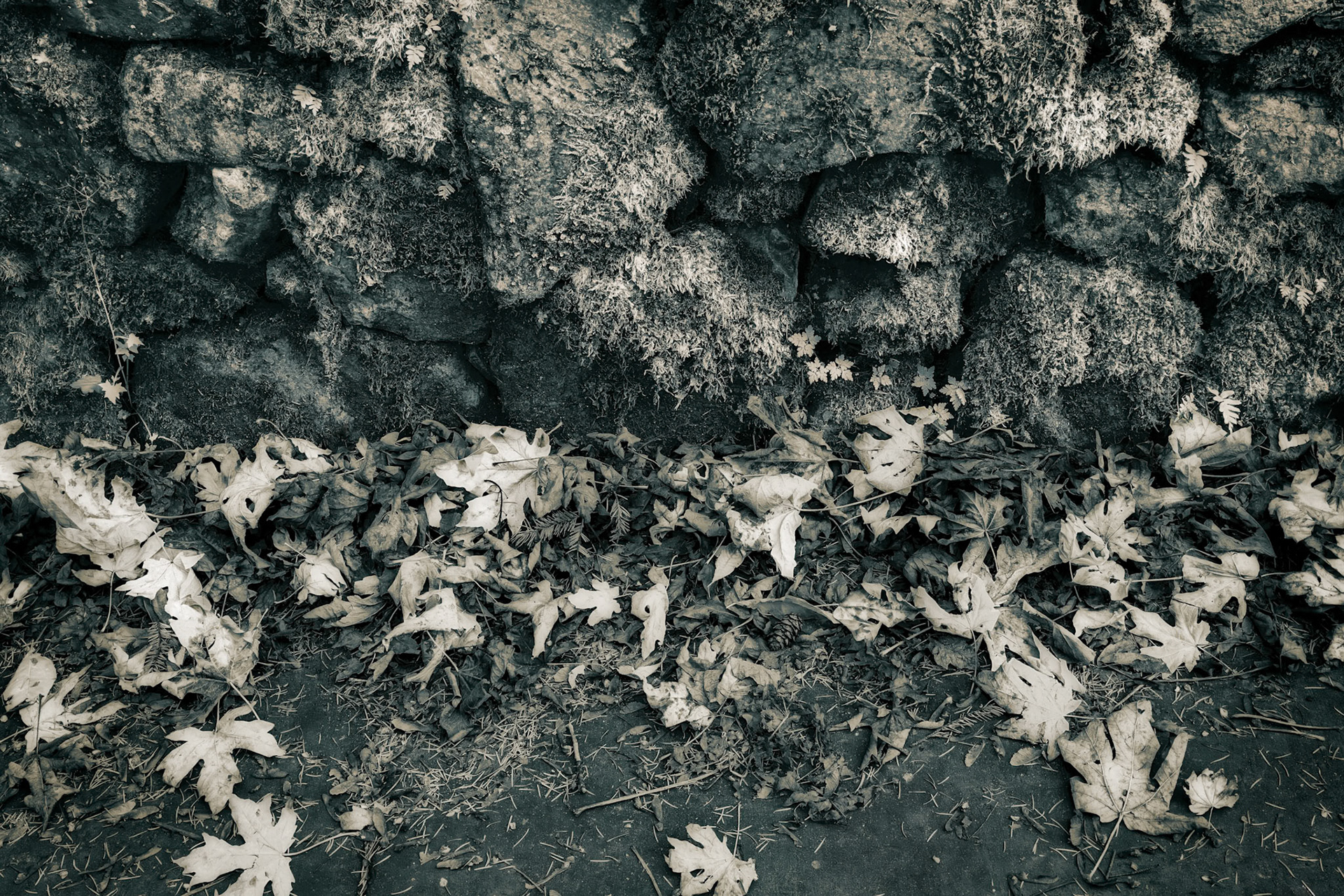 ColumbiaGorgeOR Nov2024