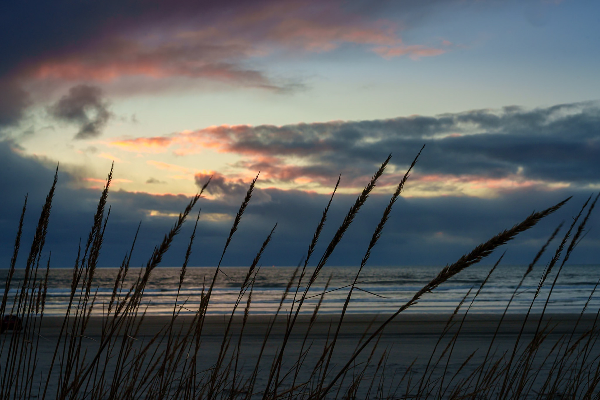 Klipsan Beach Feb2026