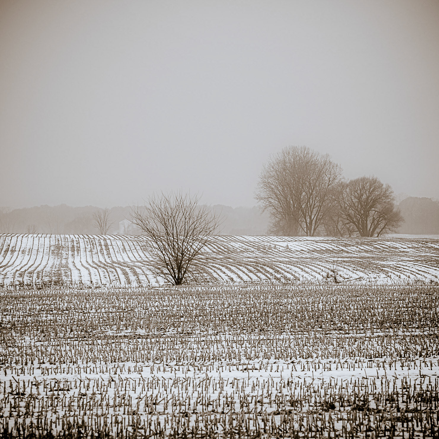 Stockbridge on The Day