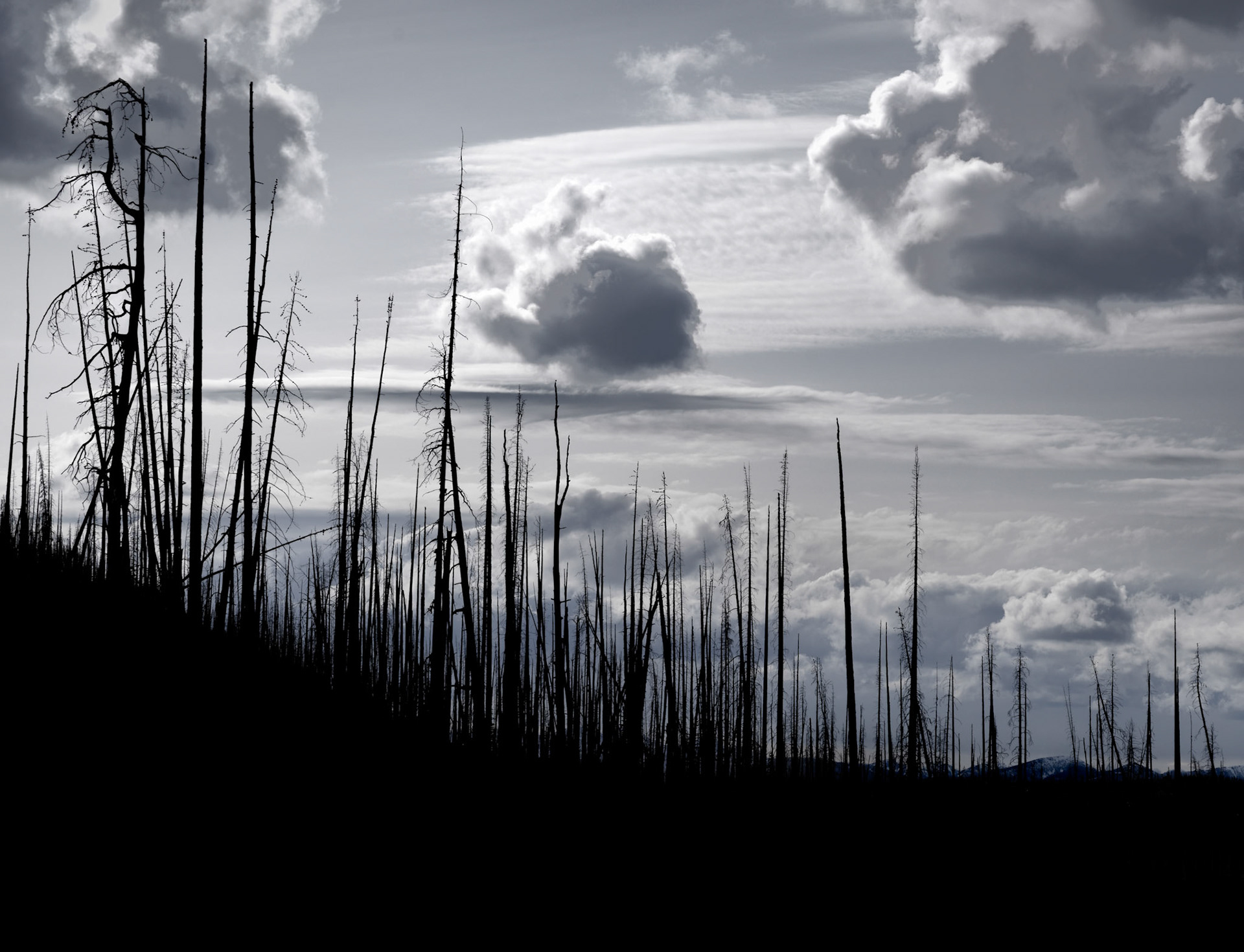 Chewuch, Winthrop WA May2024