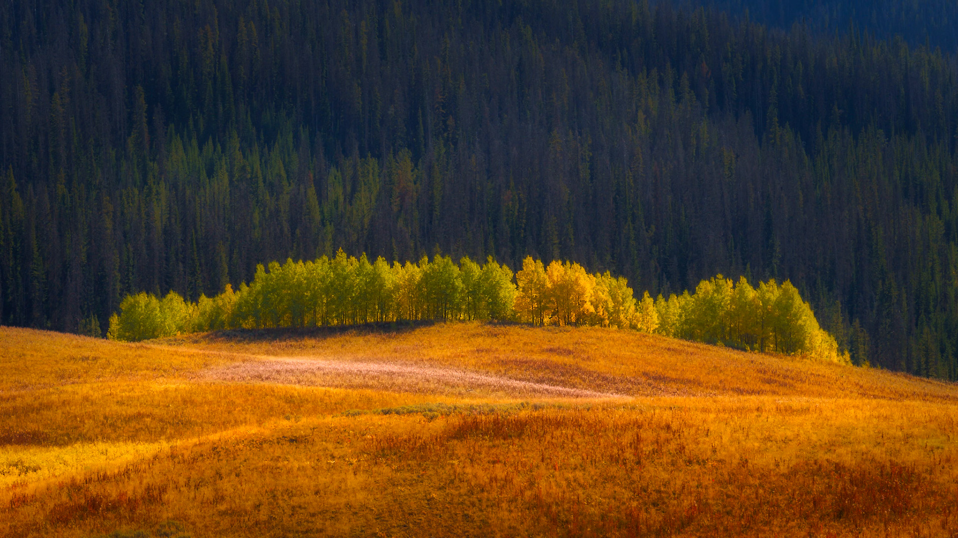 Near the Tetons, WY Sep2022