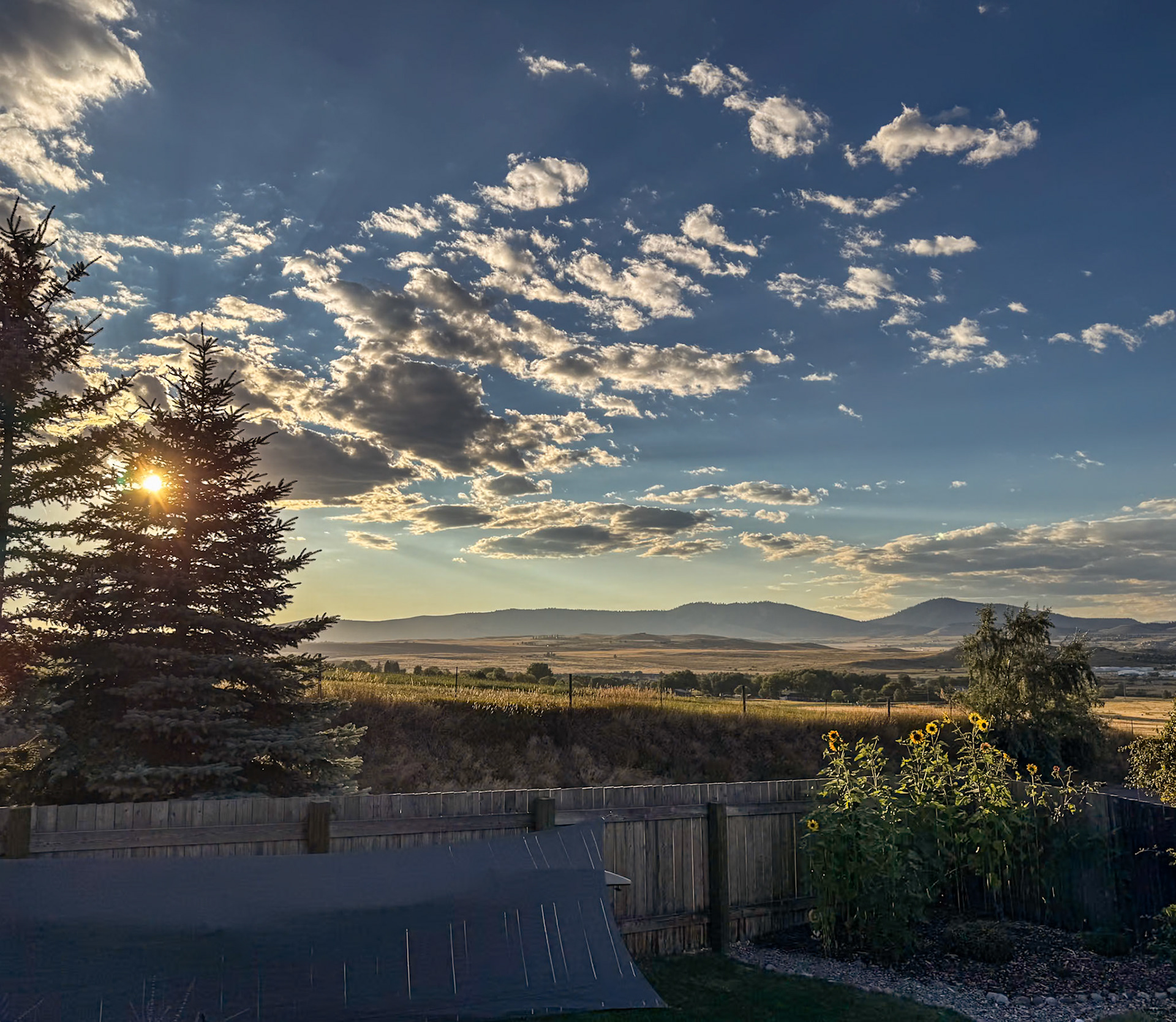 Carrie's Backyard