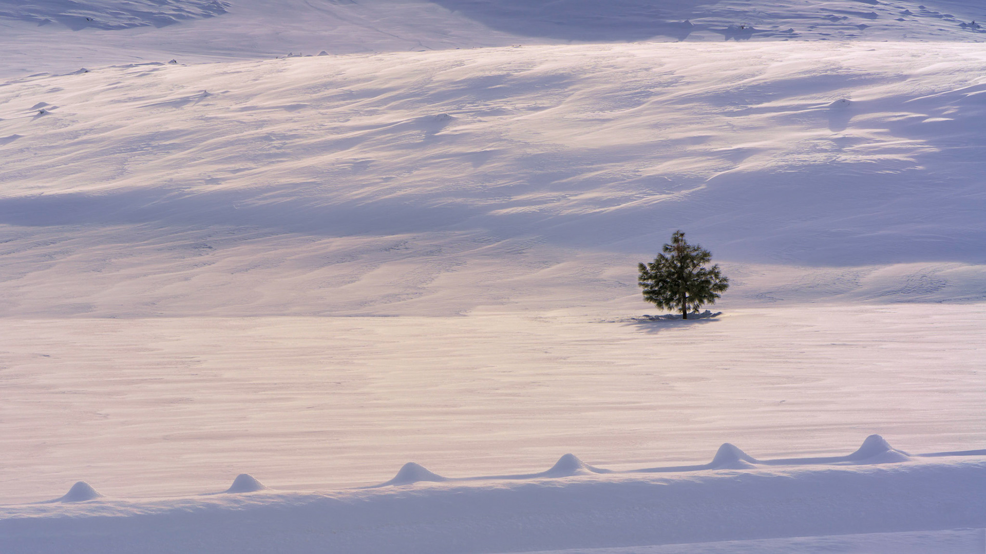 Along RendezvousRoad, Jan 2022