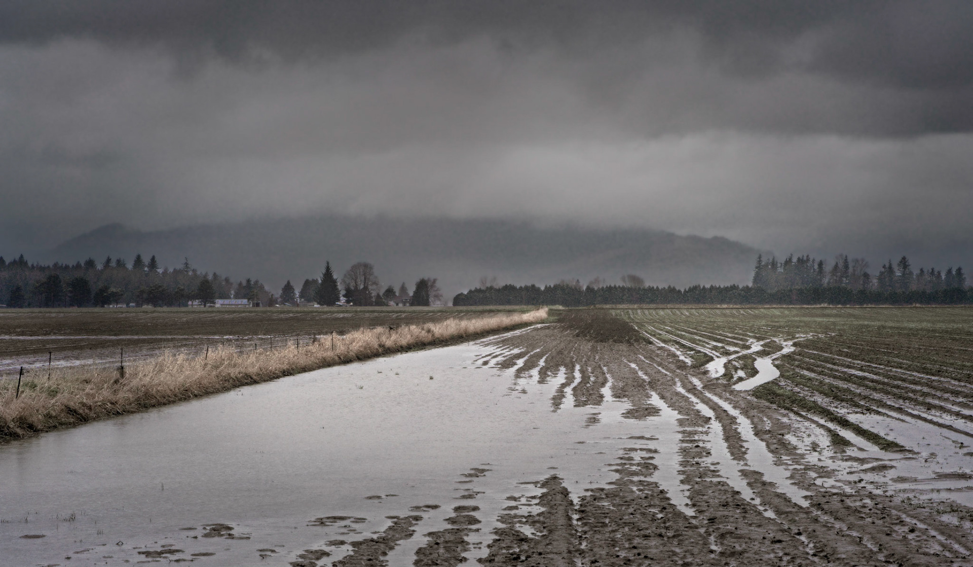 Skagit Flats, Feb 2020