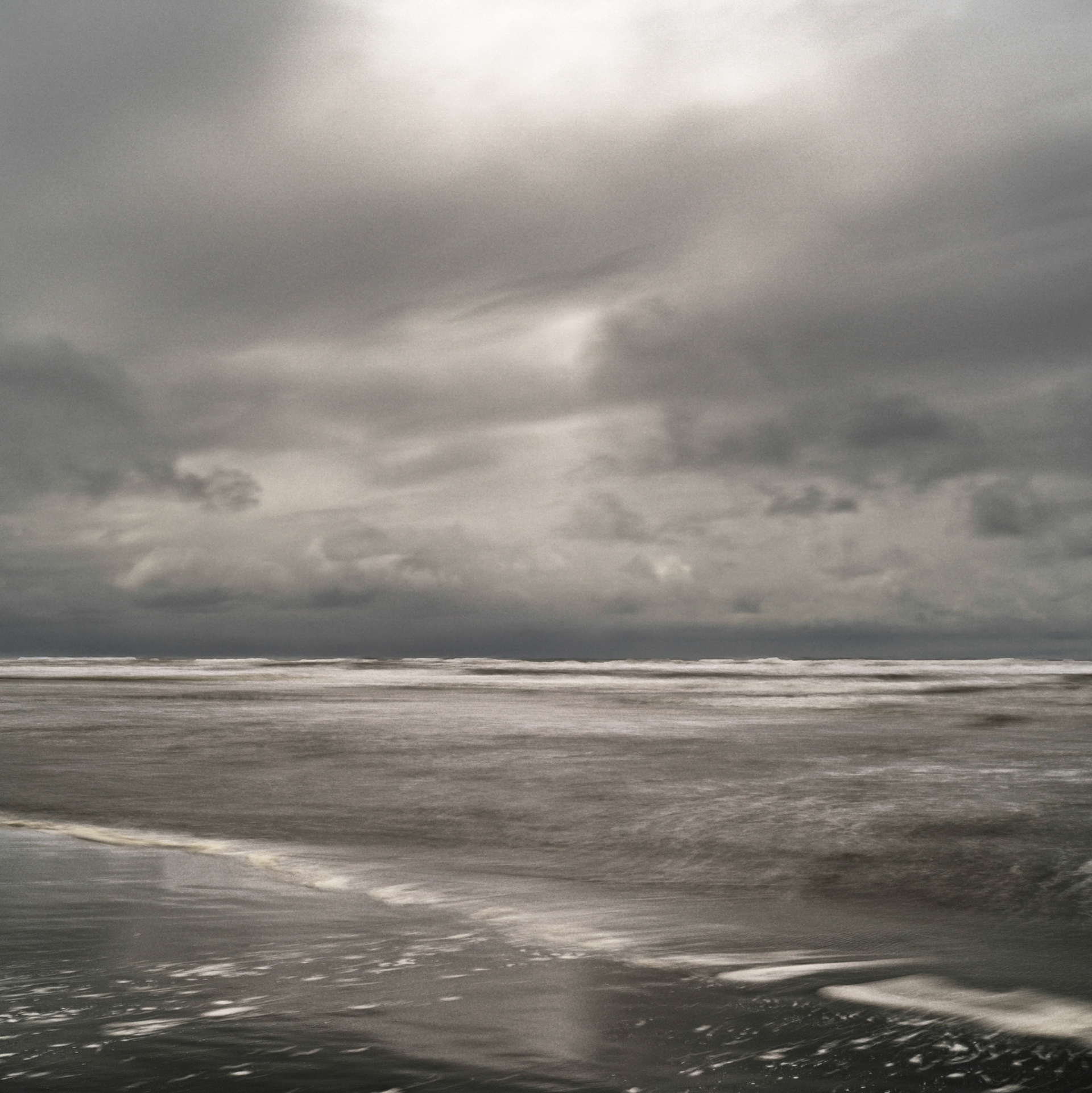 Long Beach, WA  April, 2019