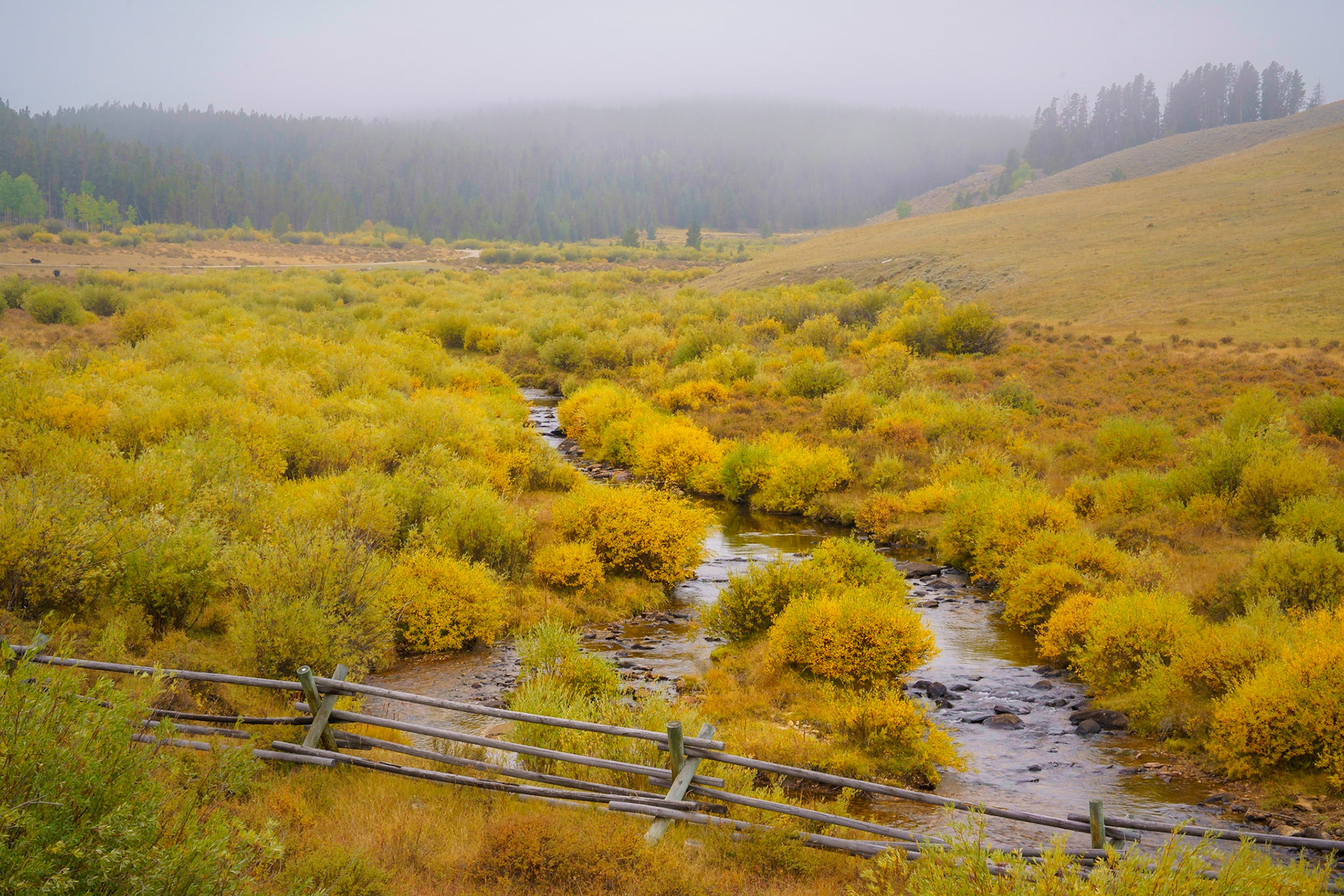 Bighorn Mtns, Sep 2022