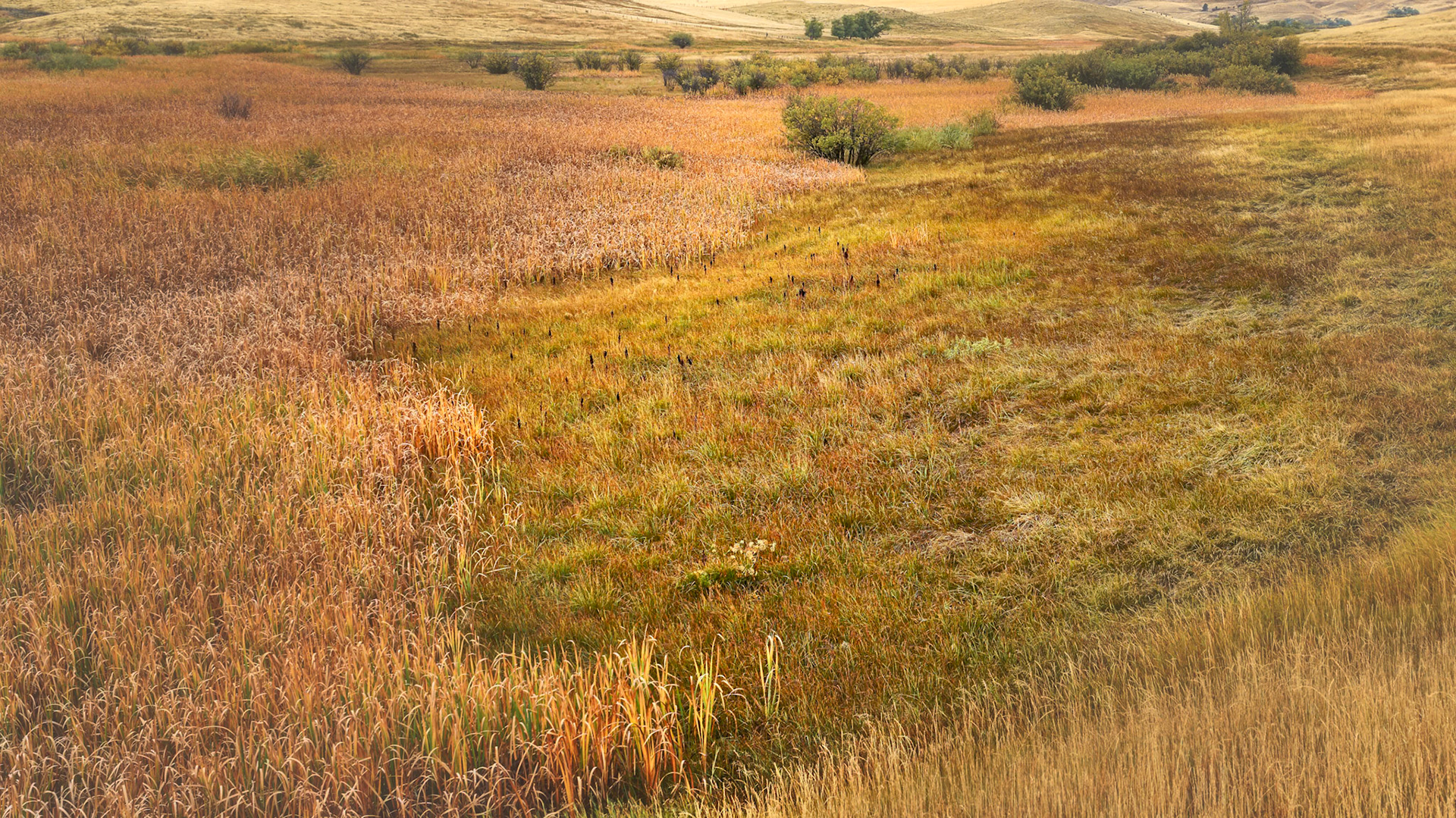Montana Roadside, Oct 2022