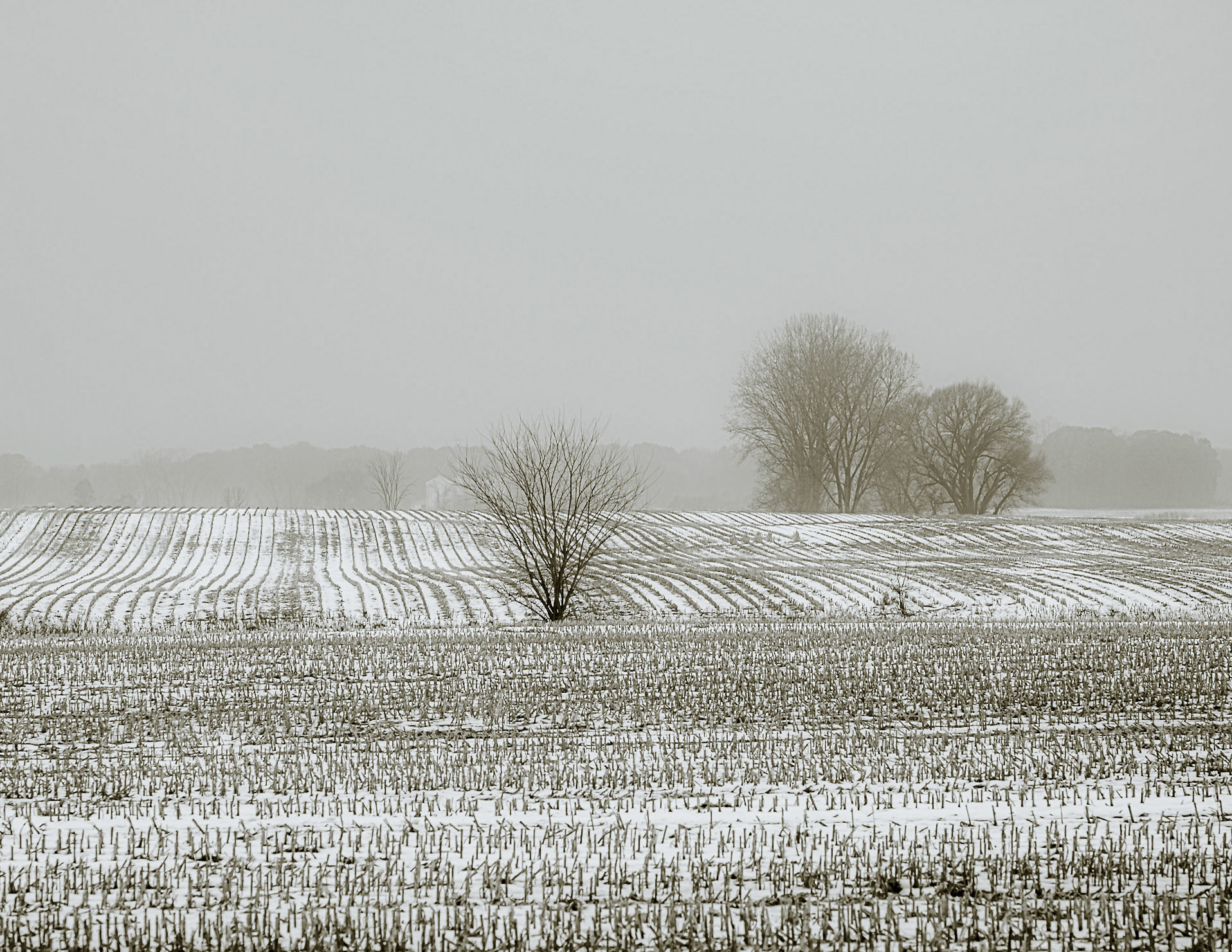 Marian's Last Day, Stockbridge MI