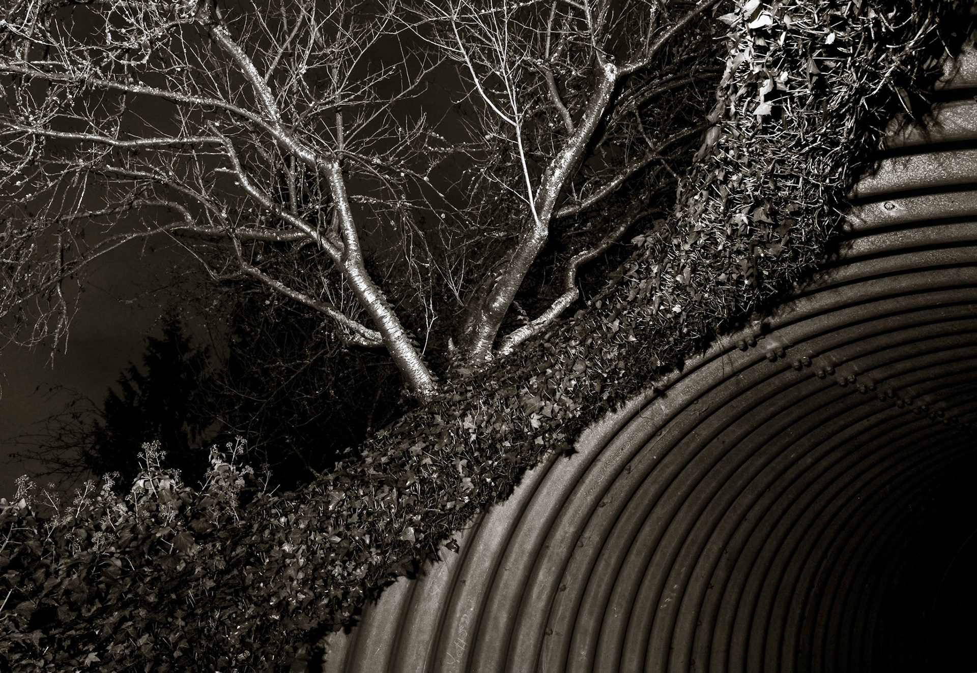 Pedestrian Tunnel, MCCA, Mill Creek, Jan 2021