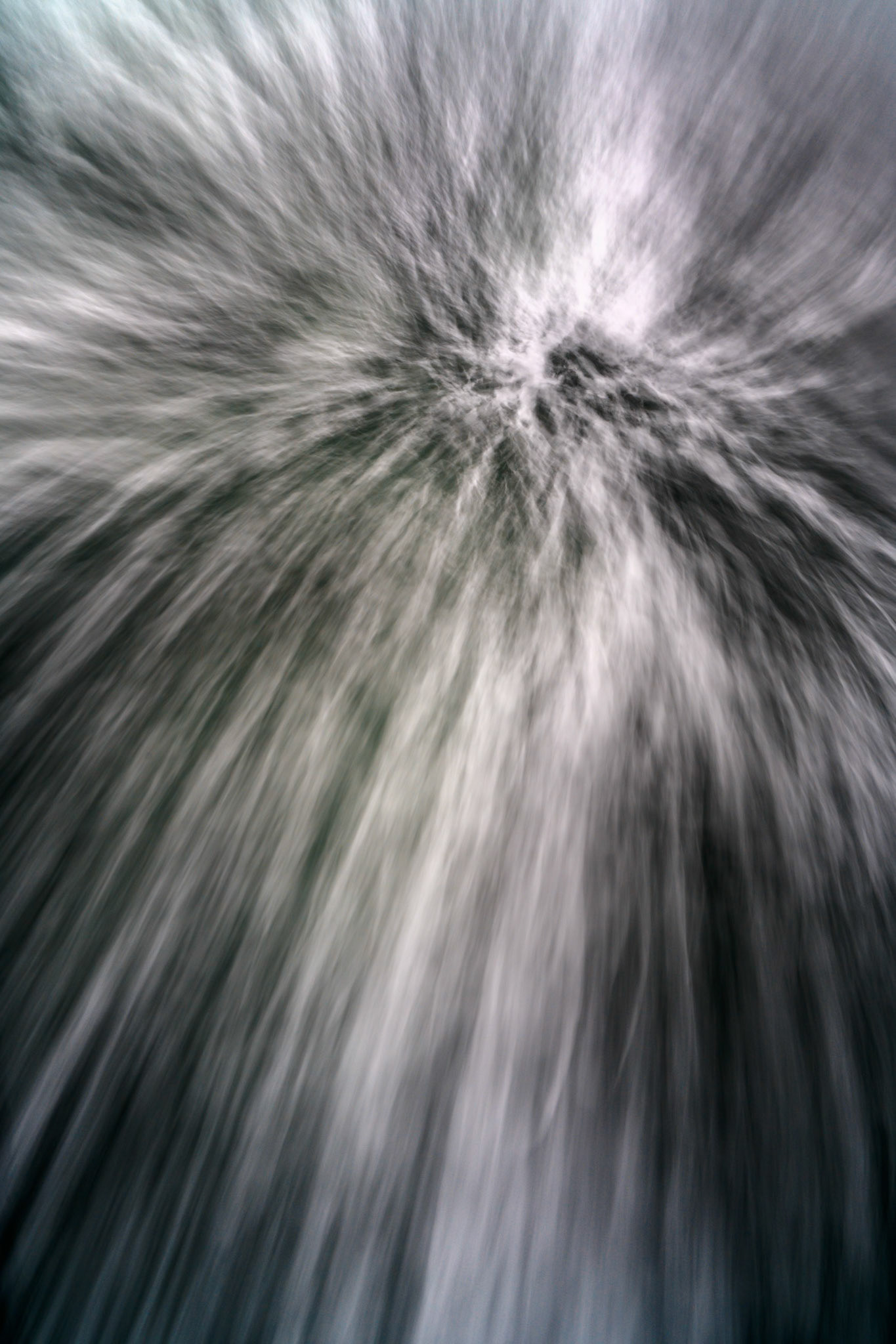 FerryWake Mukilteo Feb2024