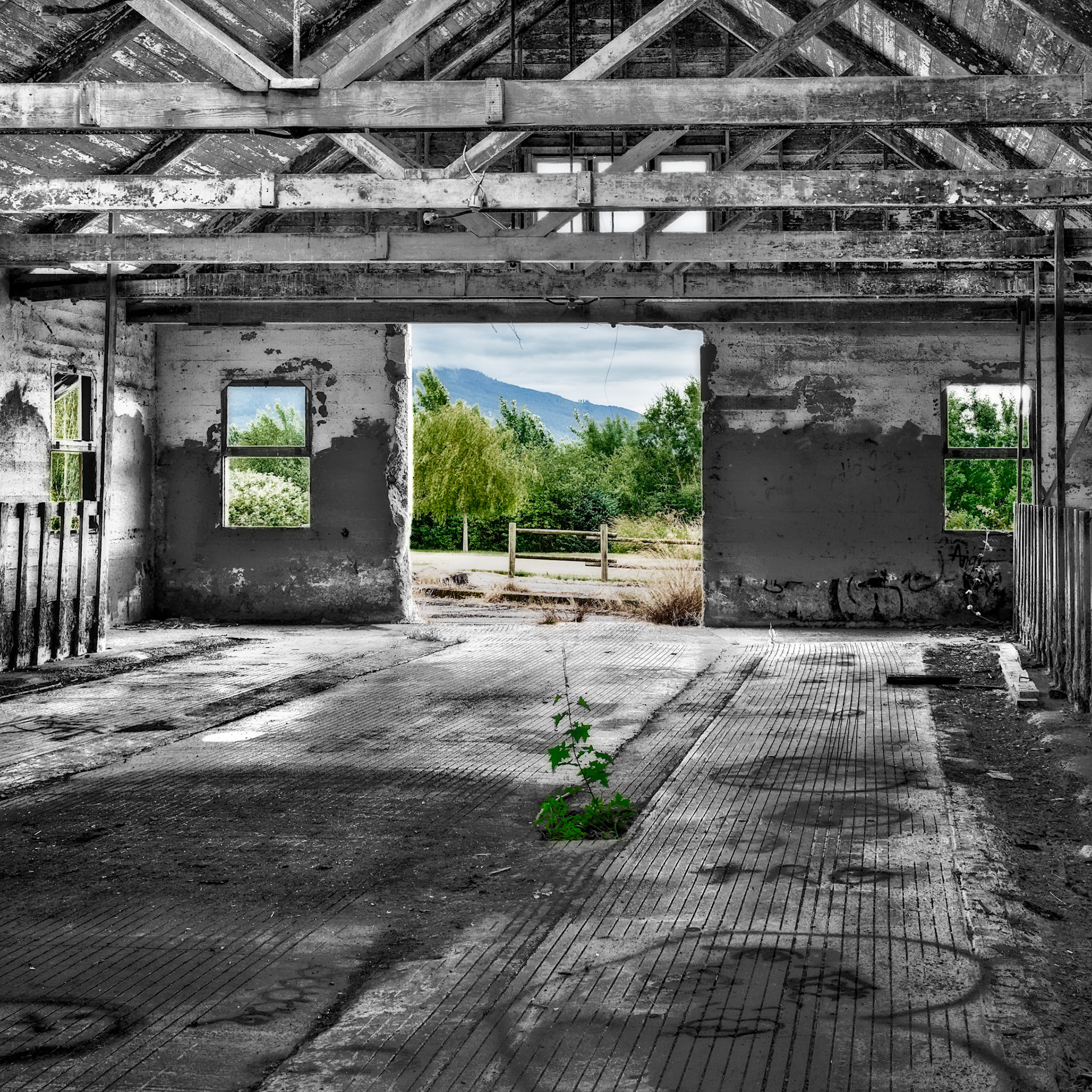 NorthernStMentalHospital, SedroWooley June2025