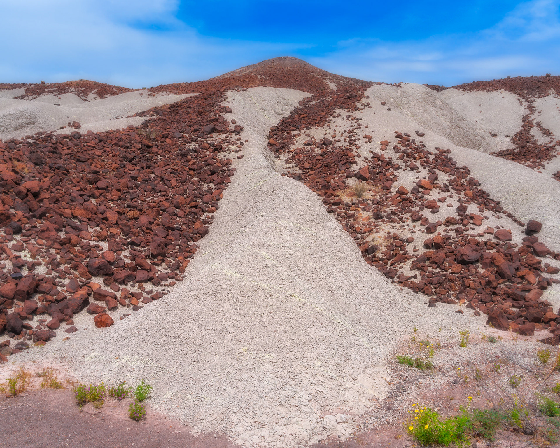 Big Bend N.P. April2024