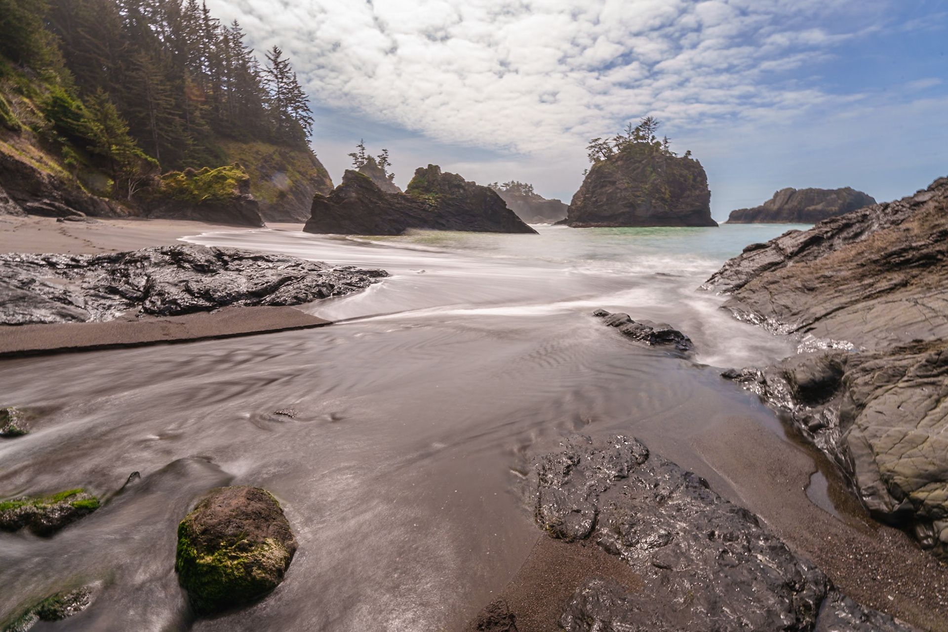 Secret Beach, Boardman S.P. OR, April 2025