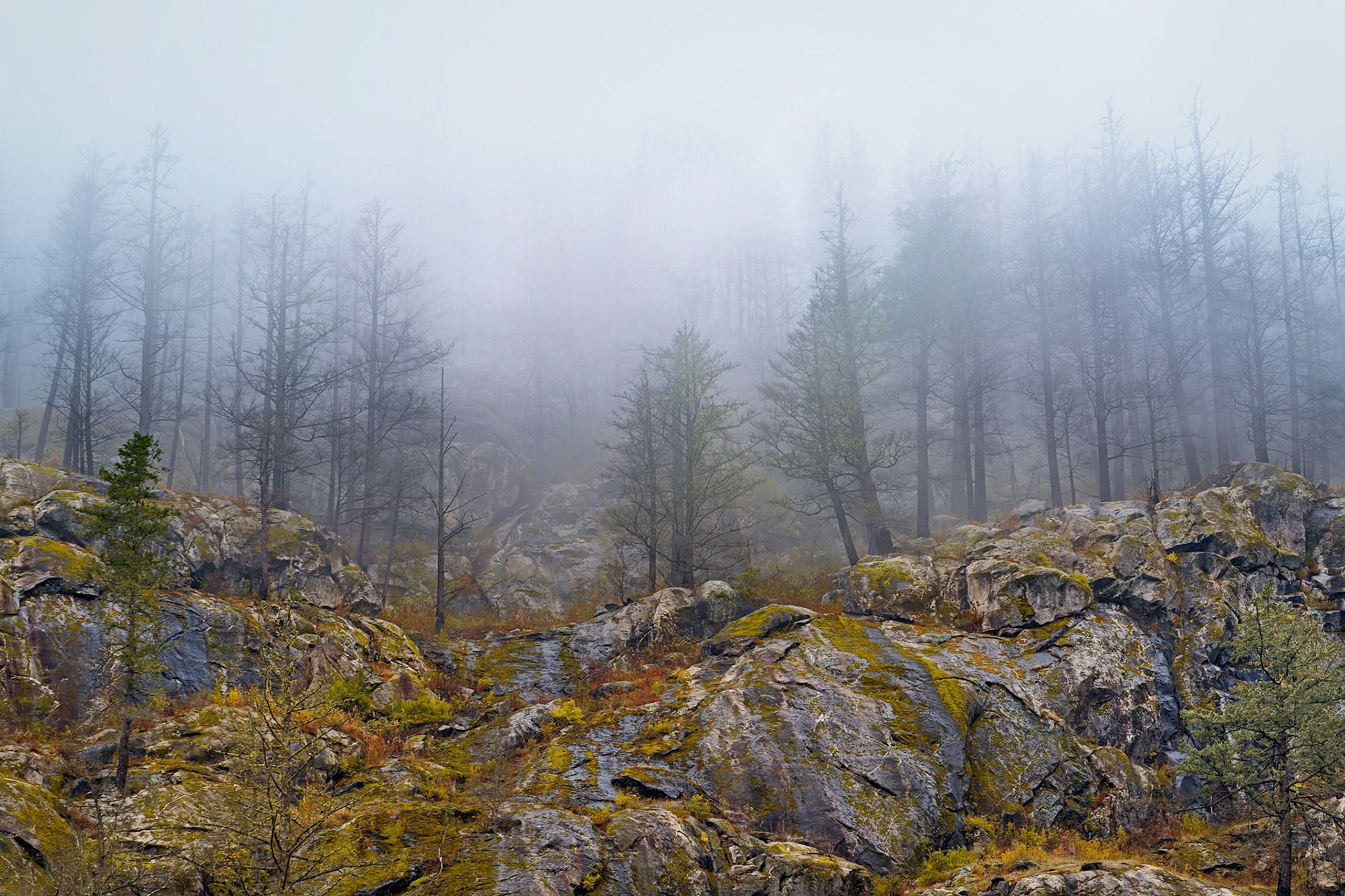 Newhalem, WA  Oct, 2019