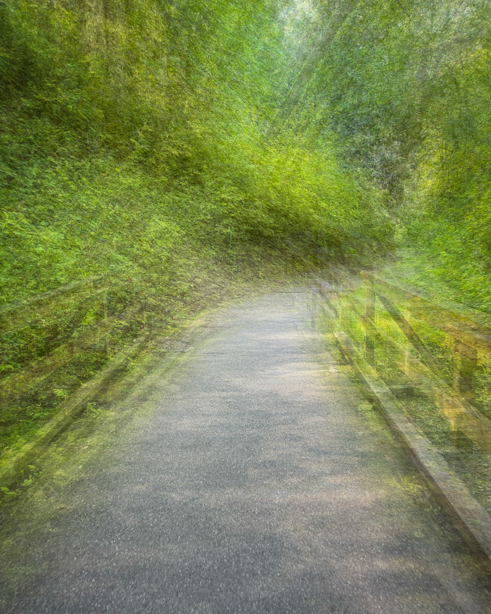 Mill Creek Nature Preserve, June 2021