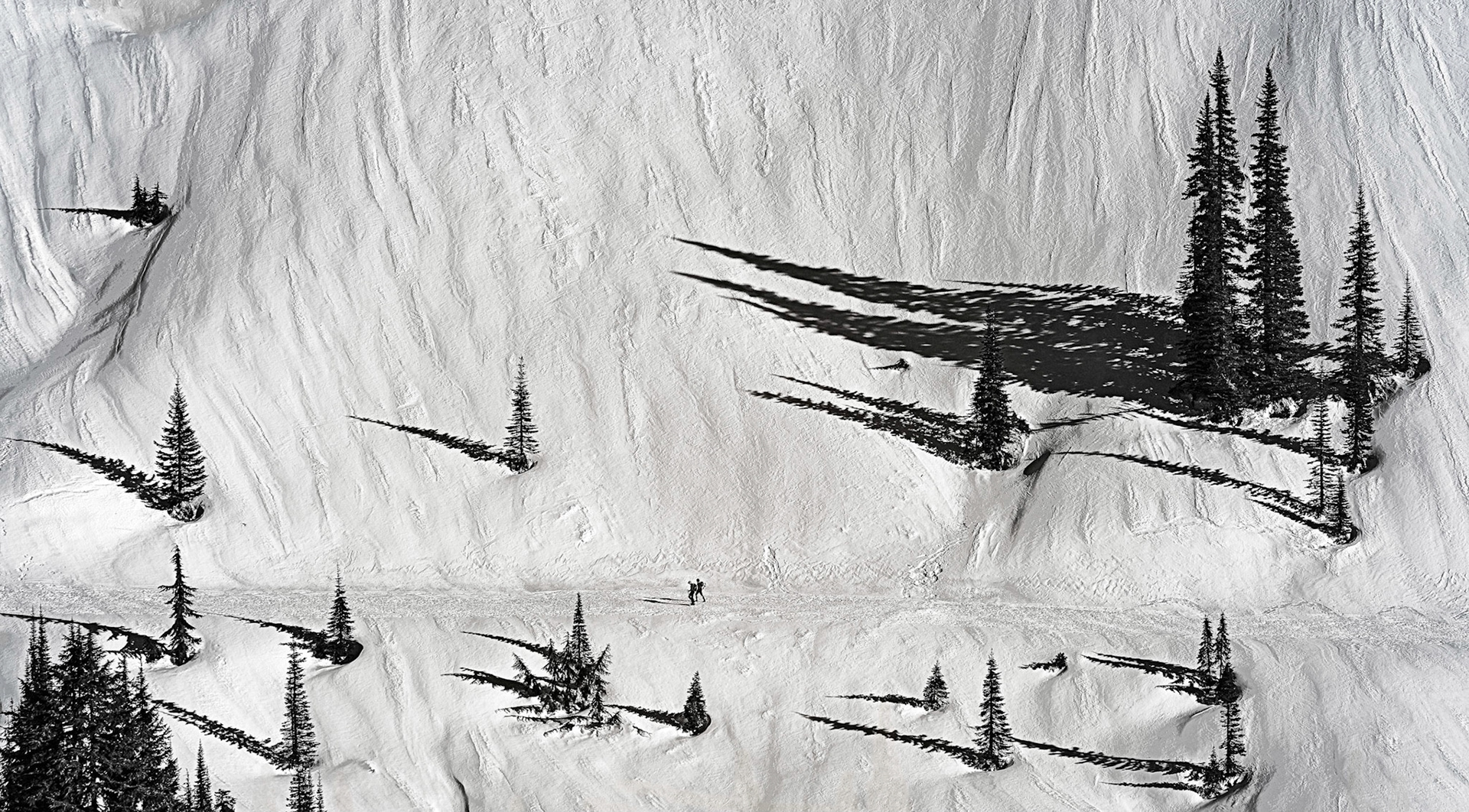 Paradise, Mt. Rainier, 2022-01