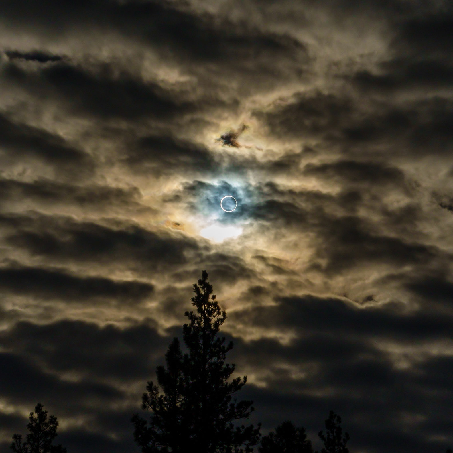 Eclipse, Bend OR, Oct2023