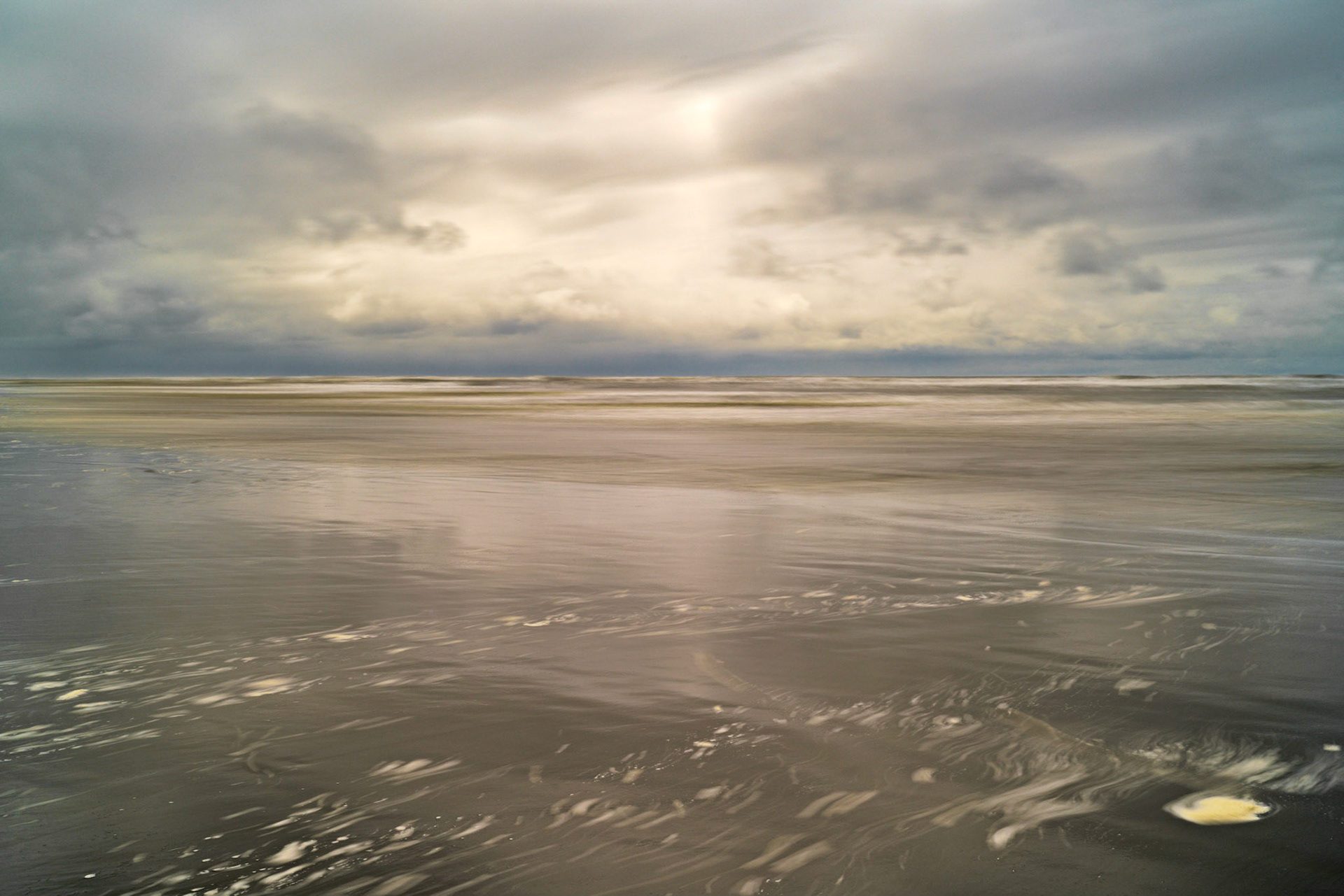 Long Beach, WA  April, 2019