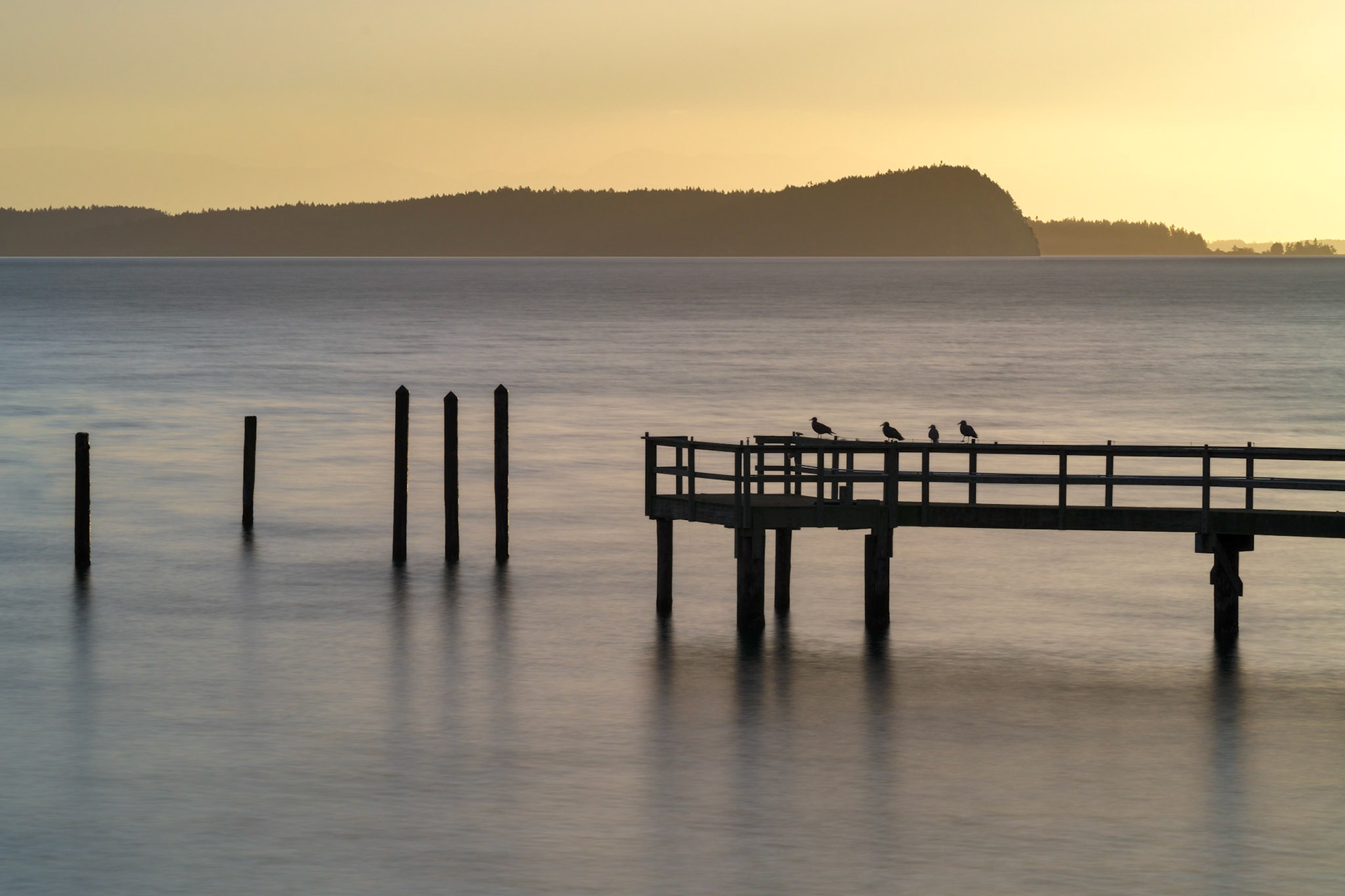 Dusk at Olga, Orcas Is.  Oct 2020