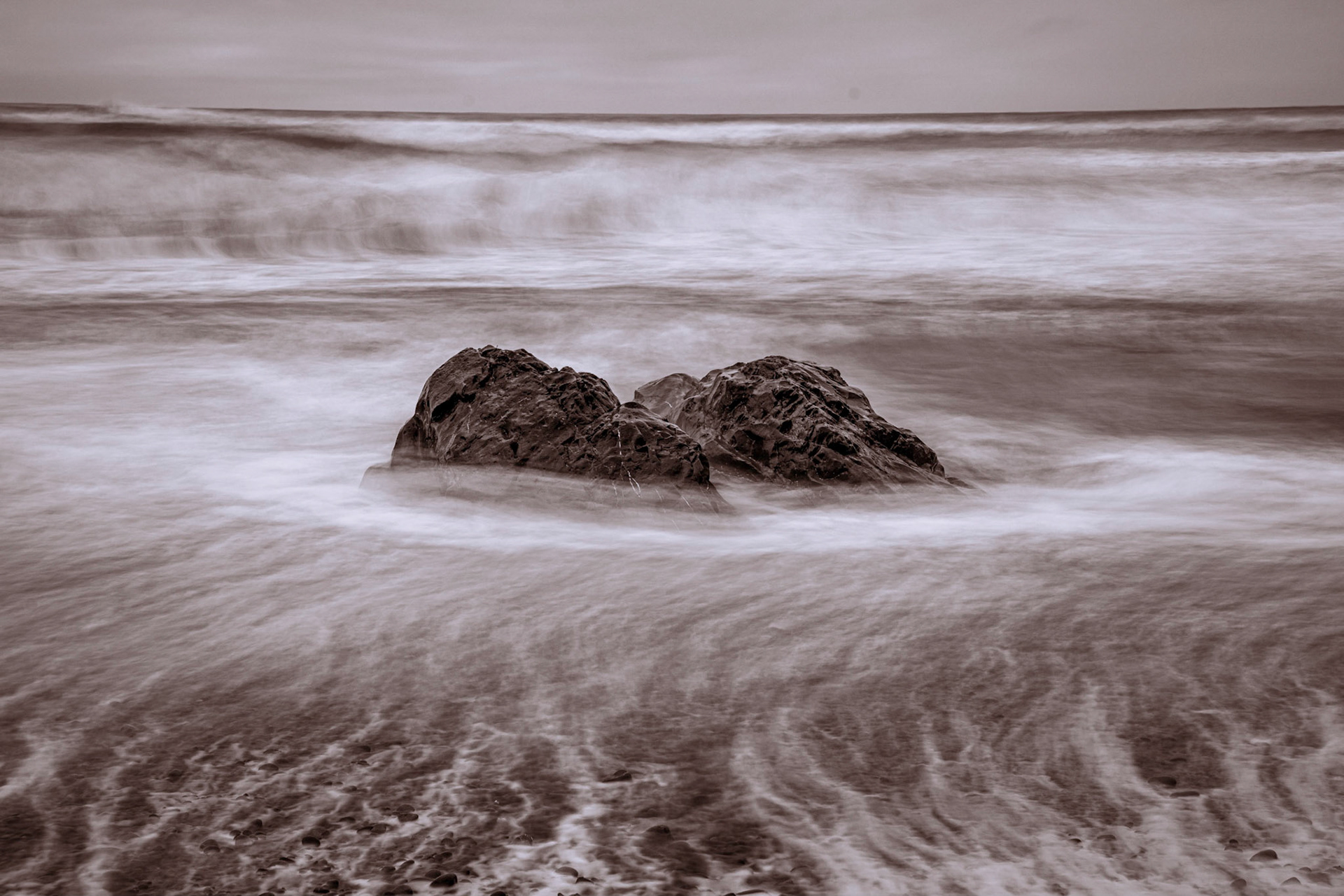 Kalaloch, March 2022