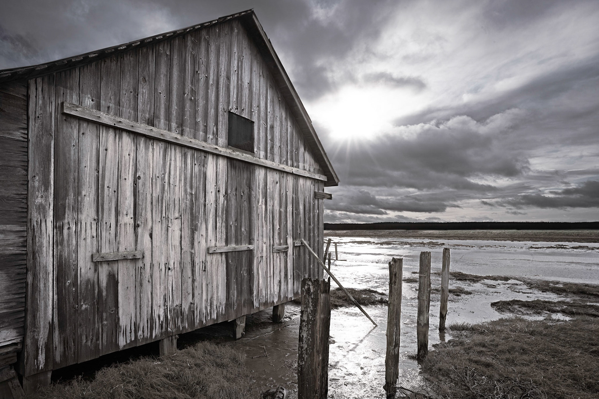Skagit Flats, Feb 2020