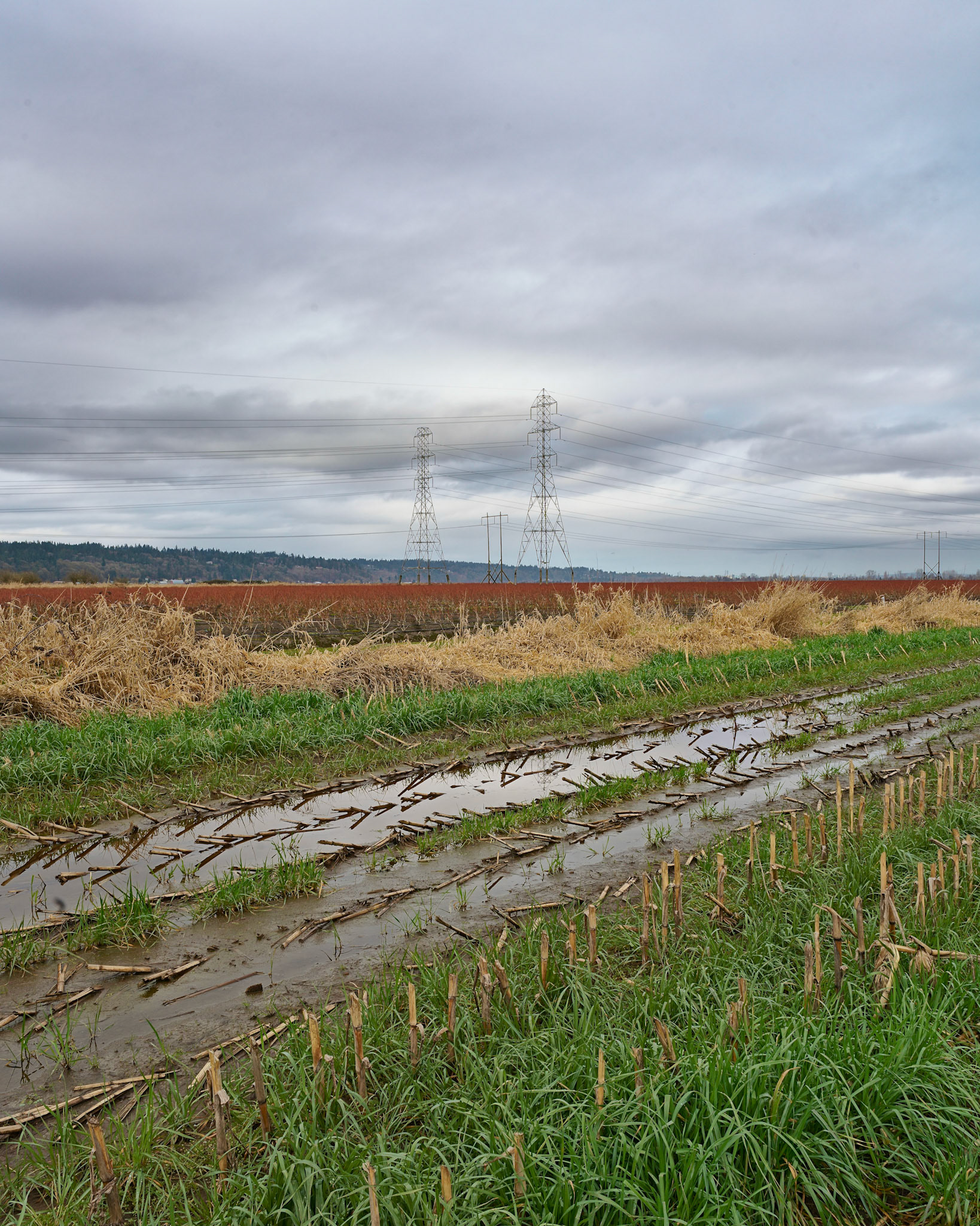 Larimer's Corner, Mill Creek, March 2021