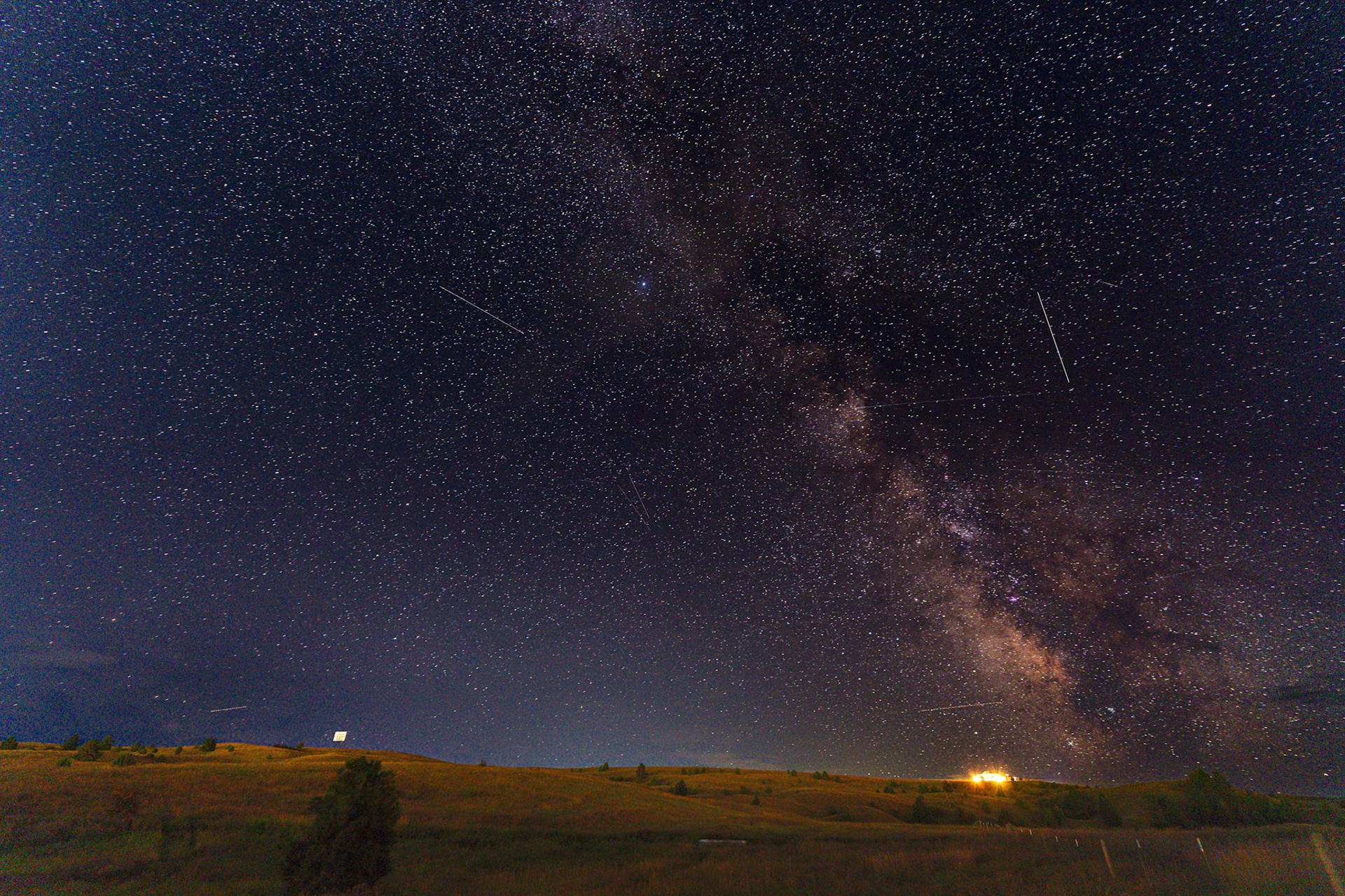 Carrie's Field Montana Aug2025
