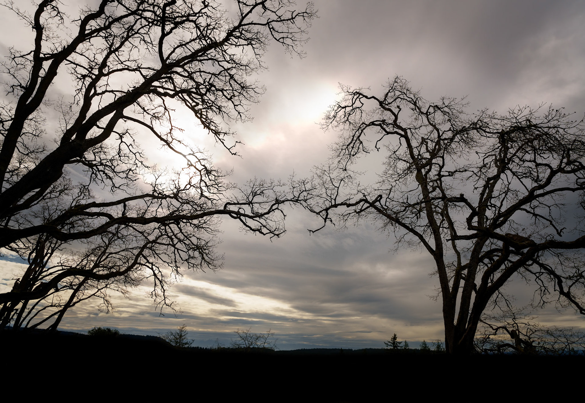 SanJuanIsland Feb2024