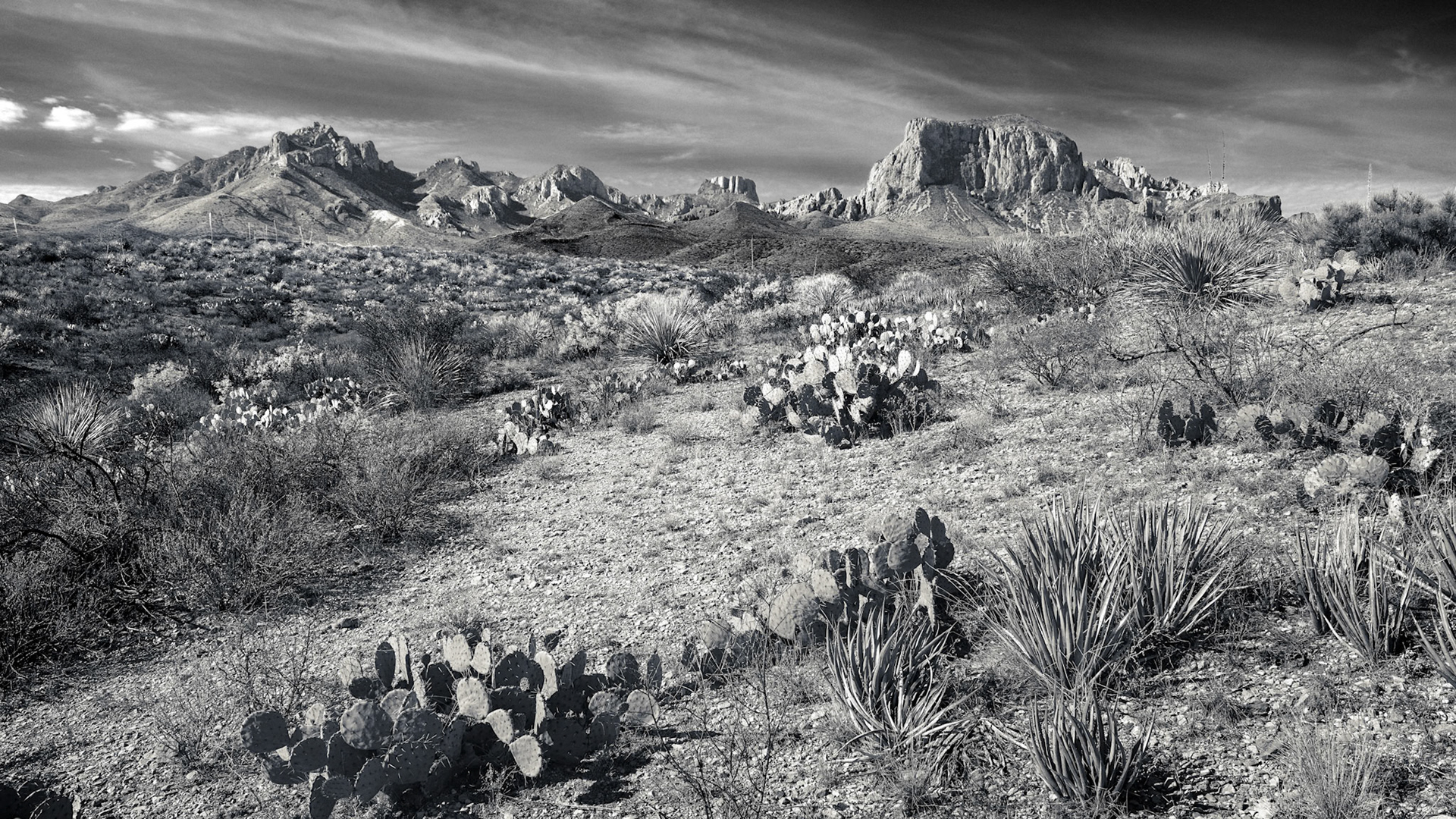 Big Bend April2024