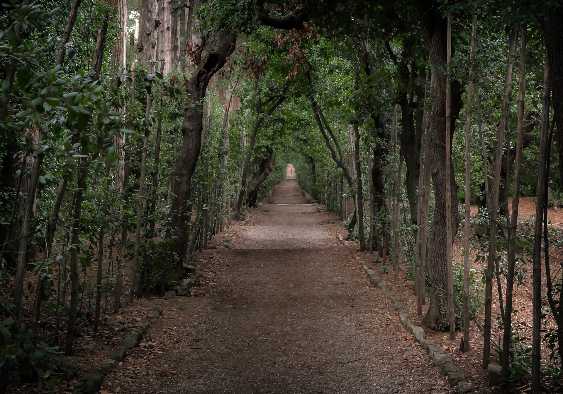 Boboli Gardens, Firenze