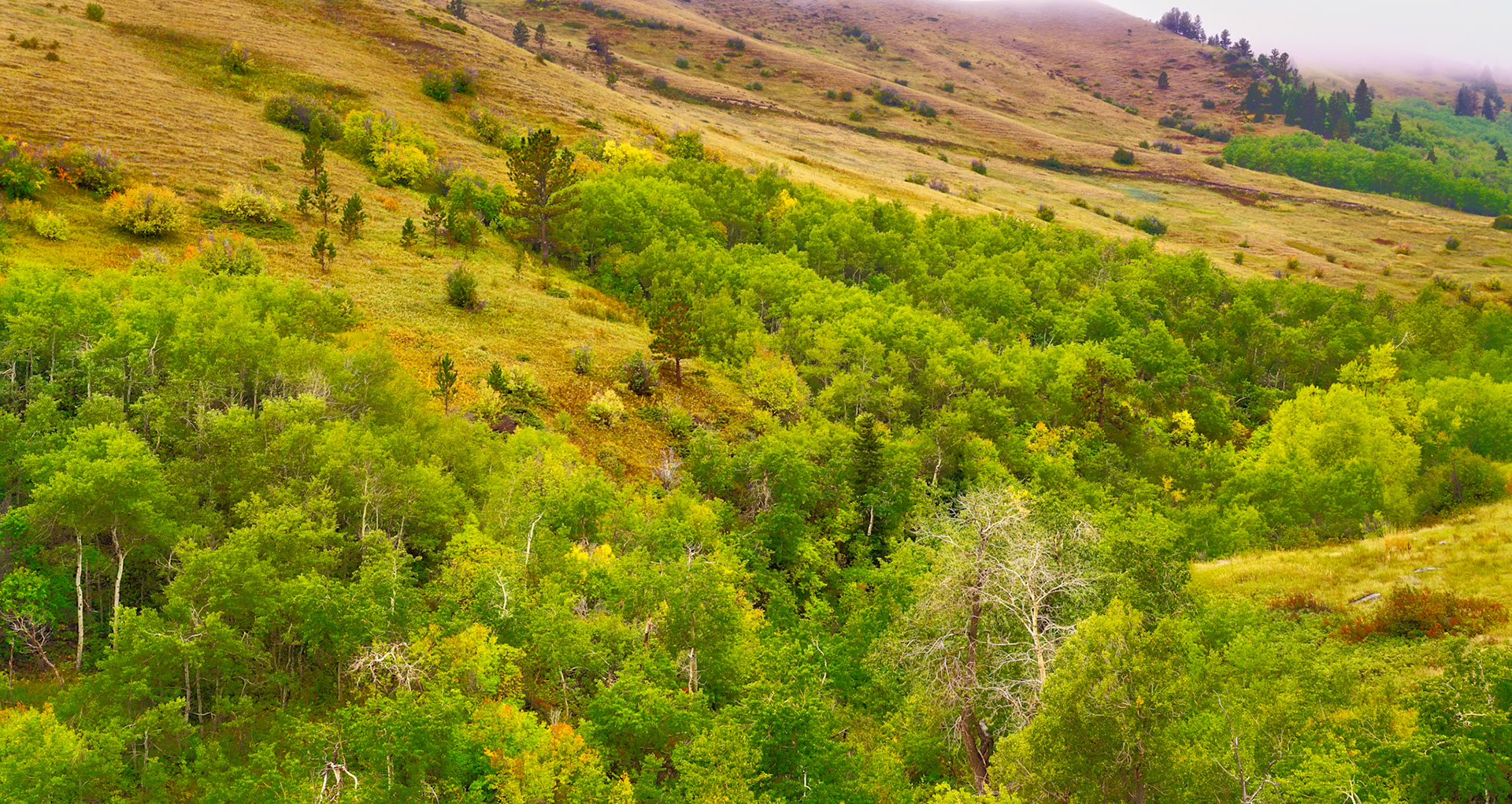 Bighorns, Wyoming September2022