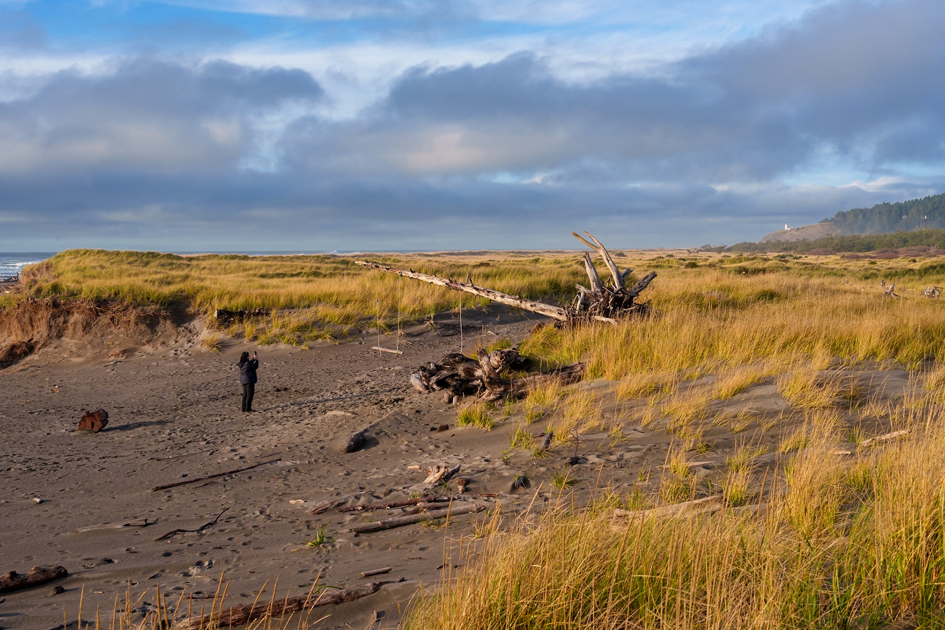 Klipsan Beach Nov2025