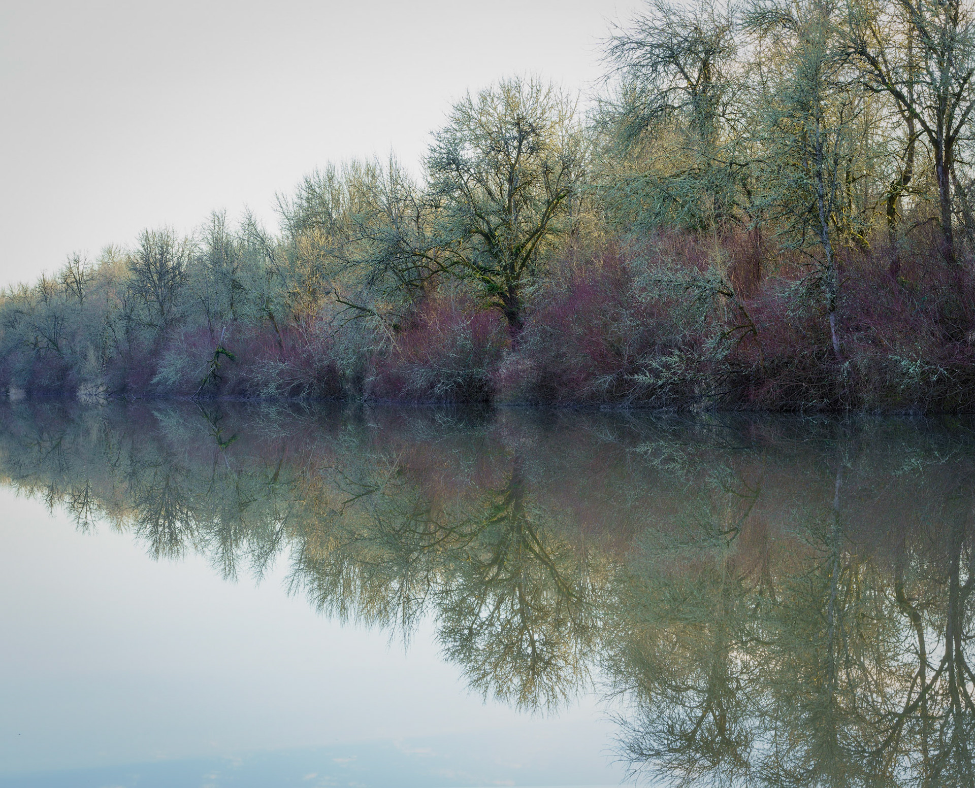 Sauvie Island, OR  Feb, 2020