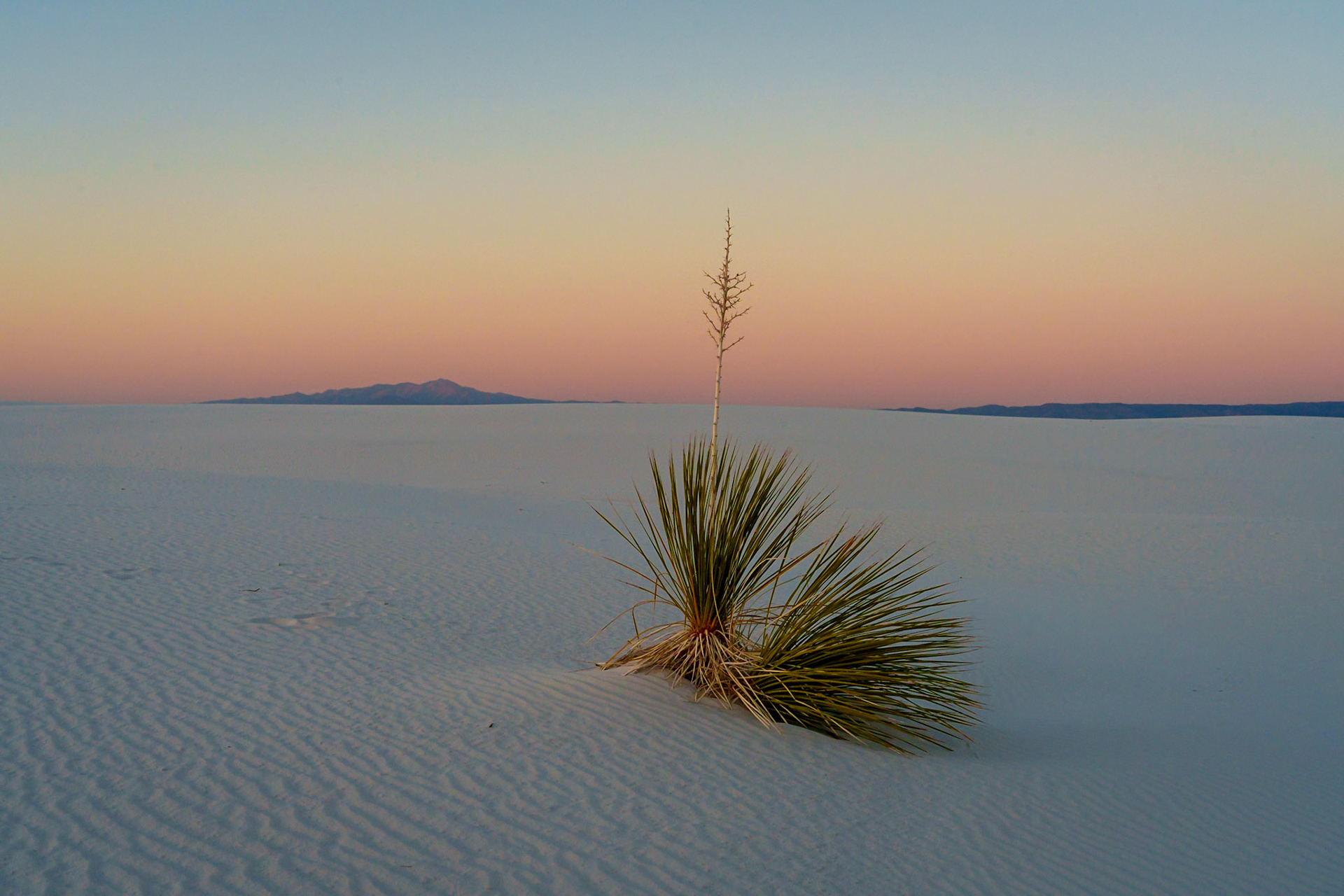 White Sands N.P.