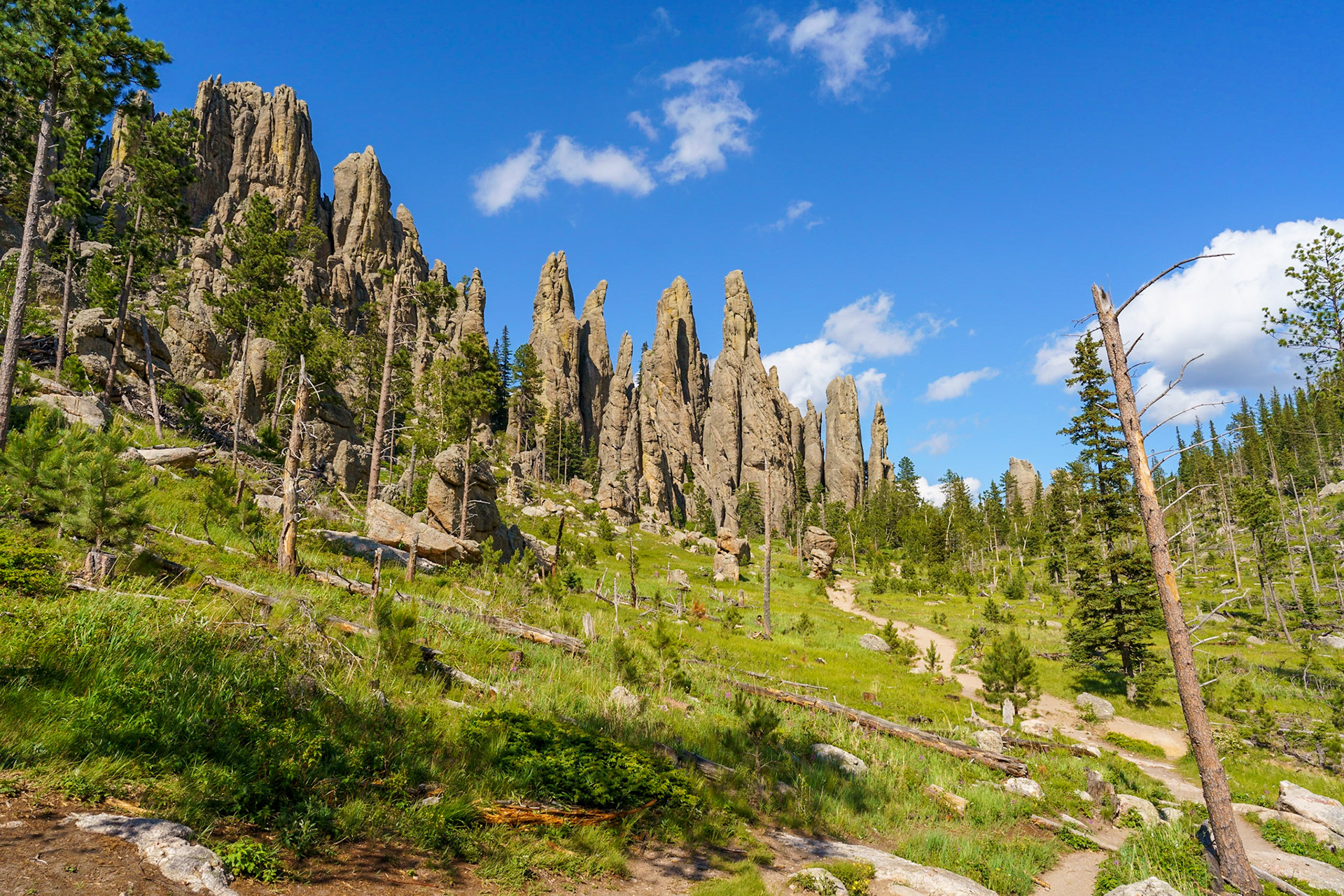 Cathedral Spires, Black Hills, July 2021
