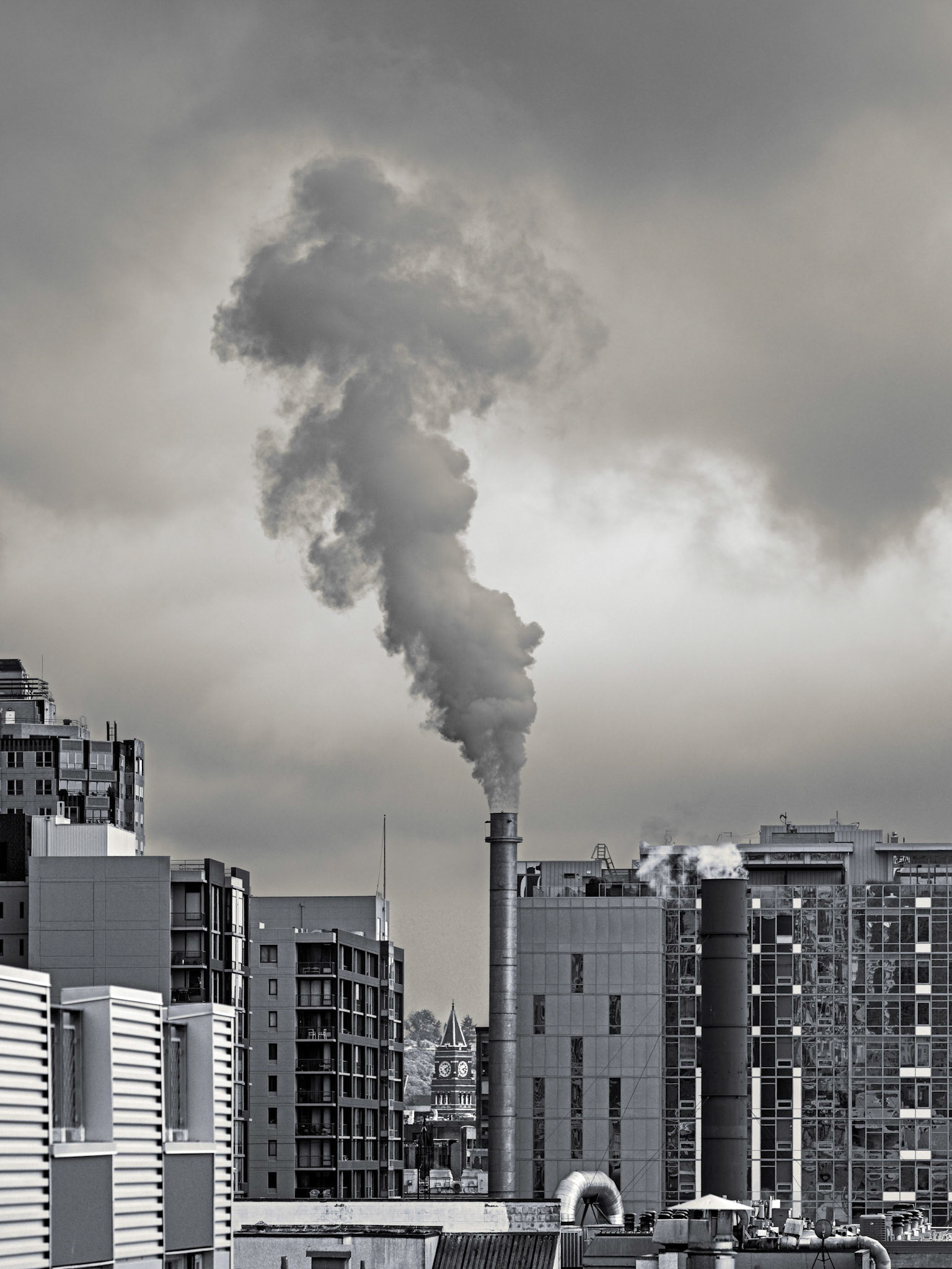 Seattle, Near Waterfront, June 2019