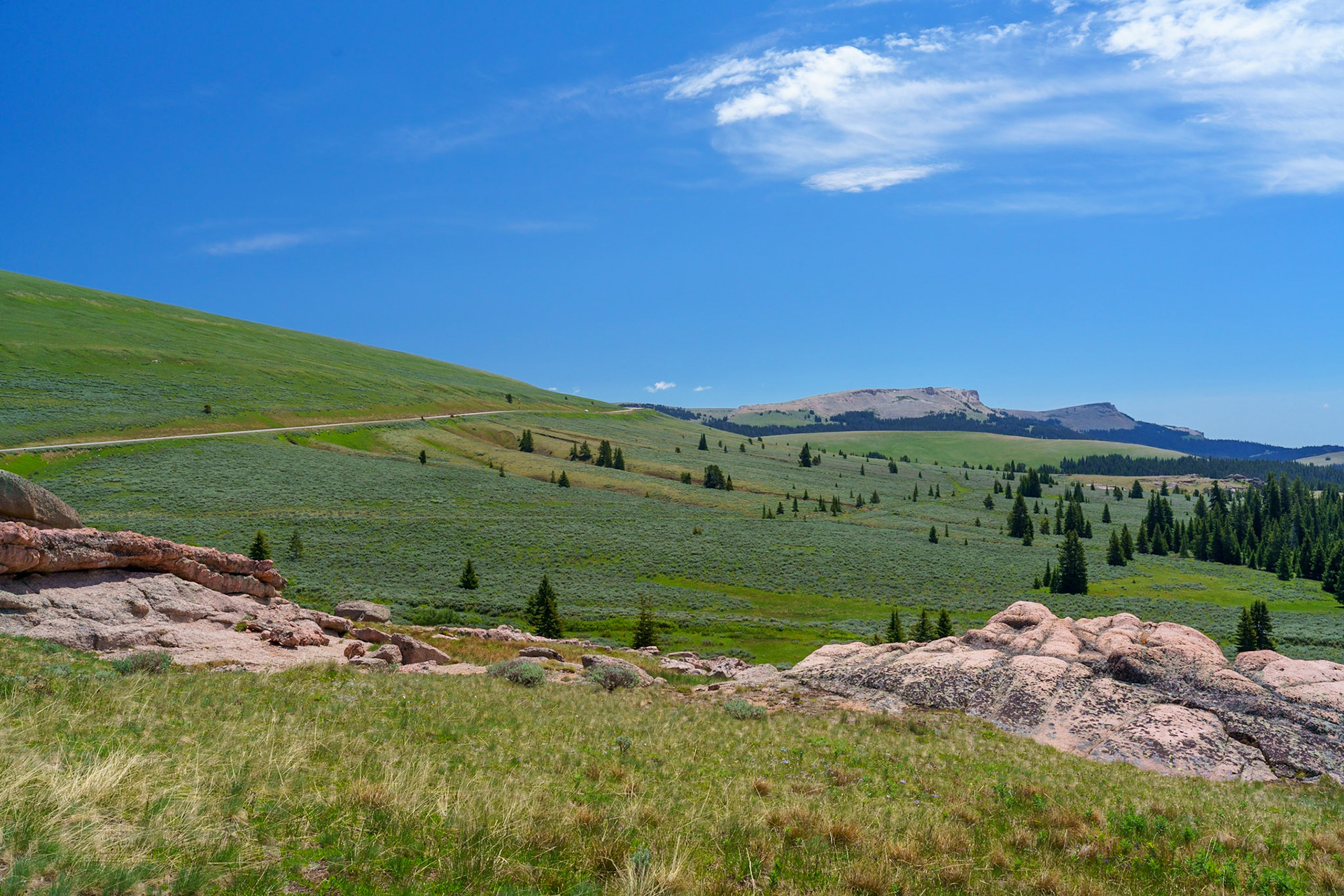 Bighorn Mtns, WY June 2021