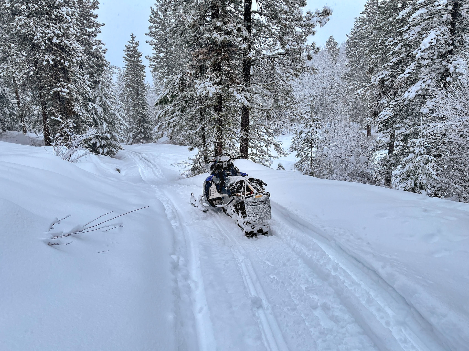 Coming Down from Yurt, Dec 2020