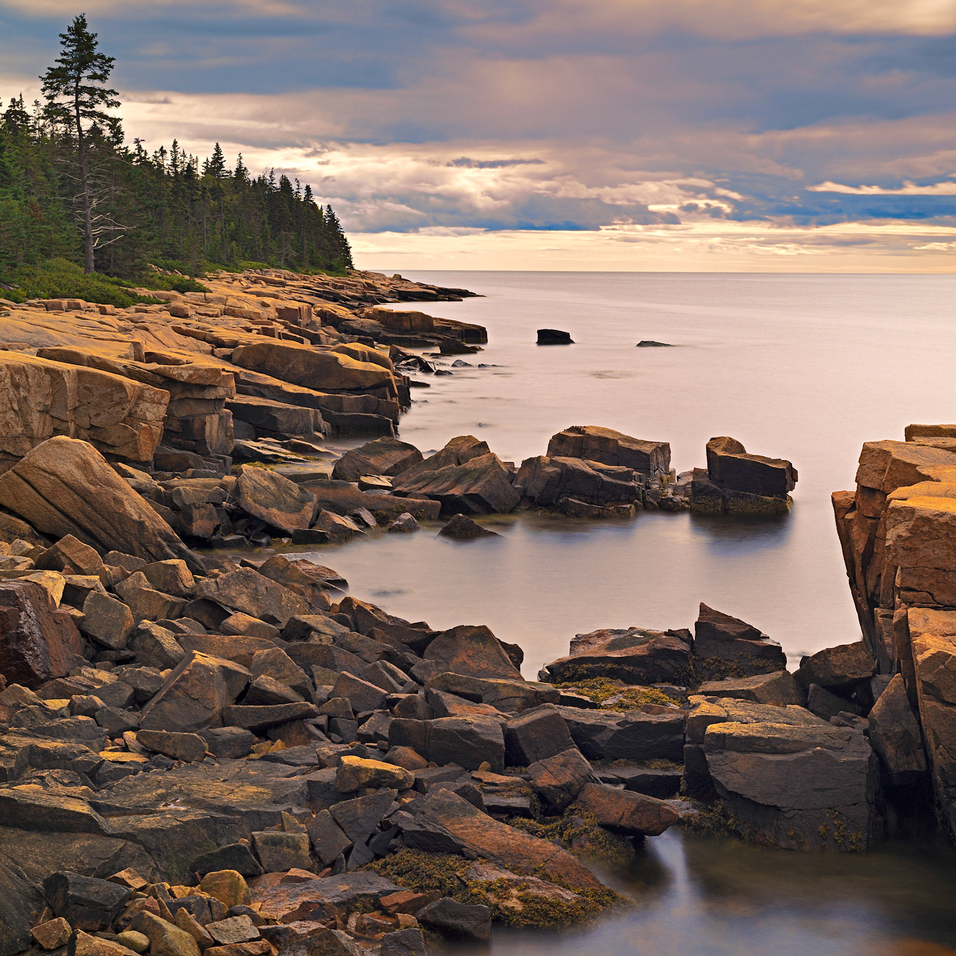 Acadia N.P.  Sept 2019