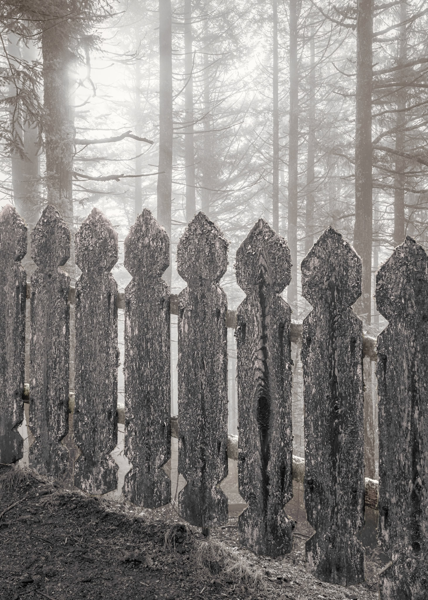 Moran S.P., Orcas Is, Feb2024