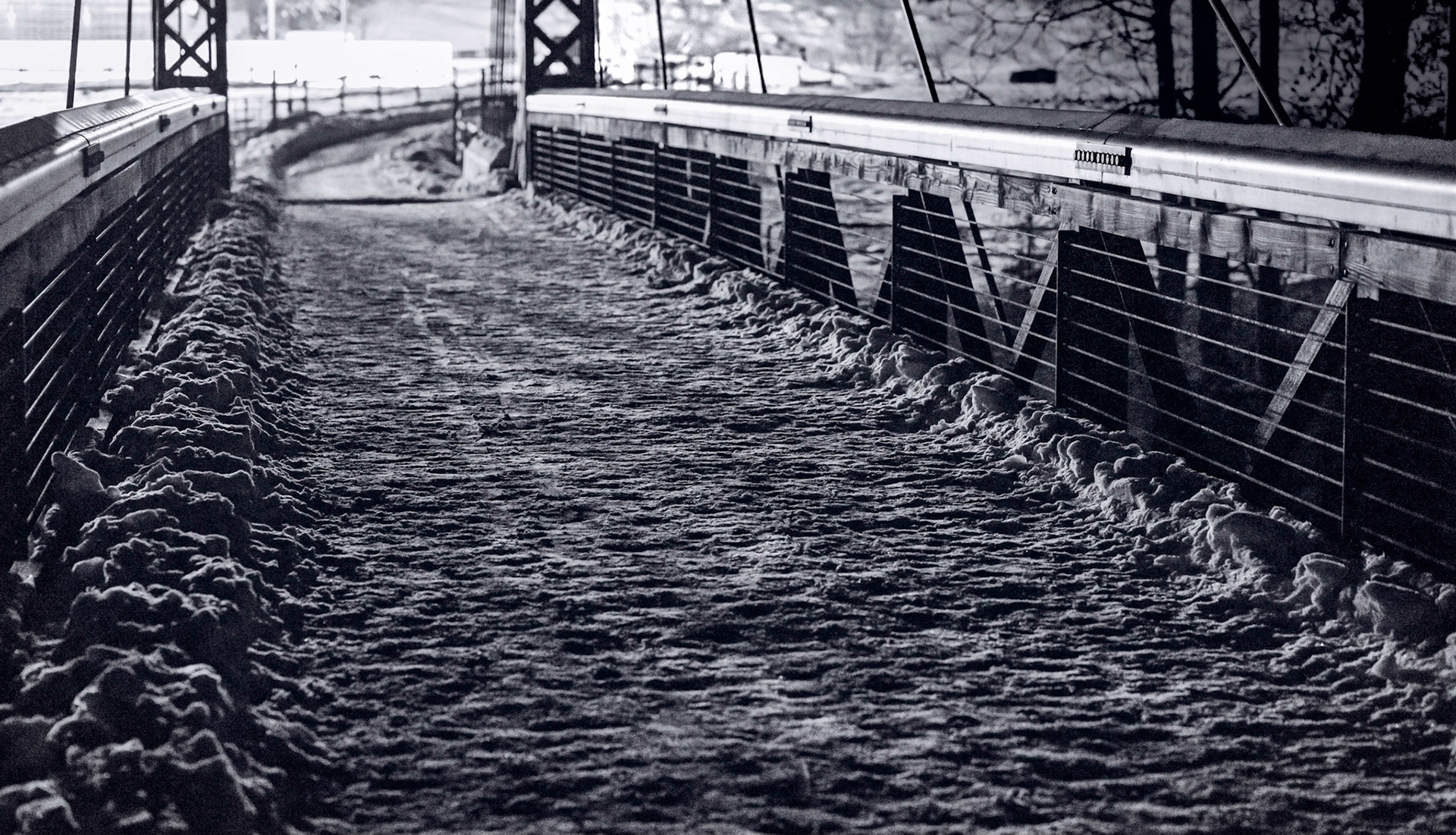Winthrop Pedestrian Bridge, 1/2019