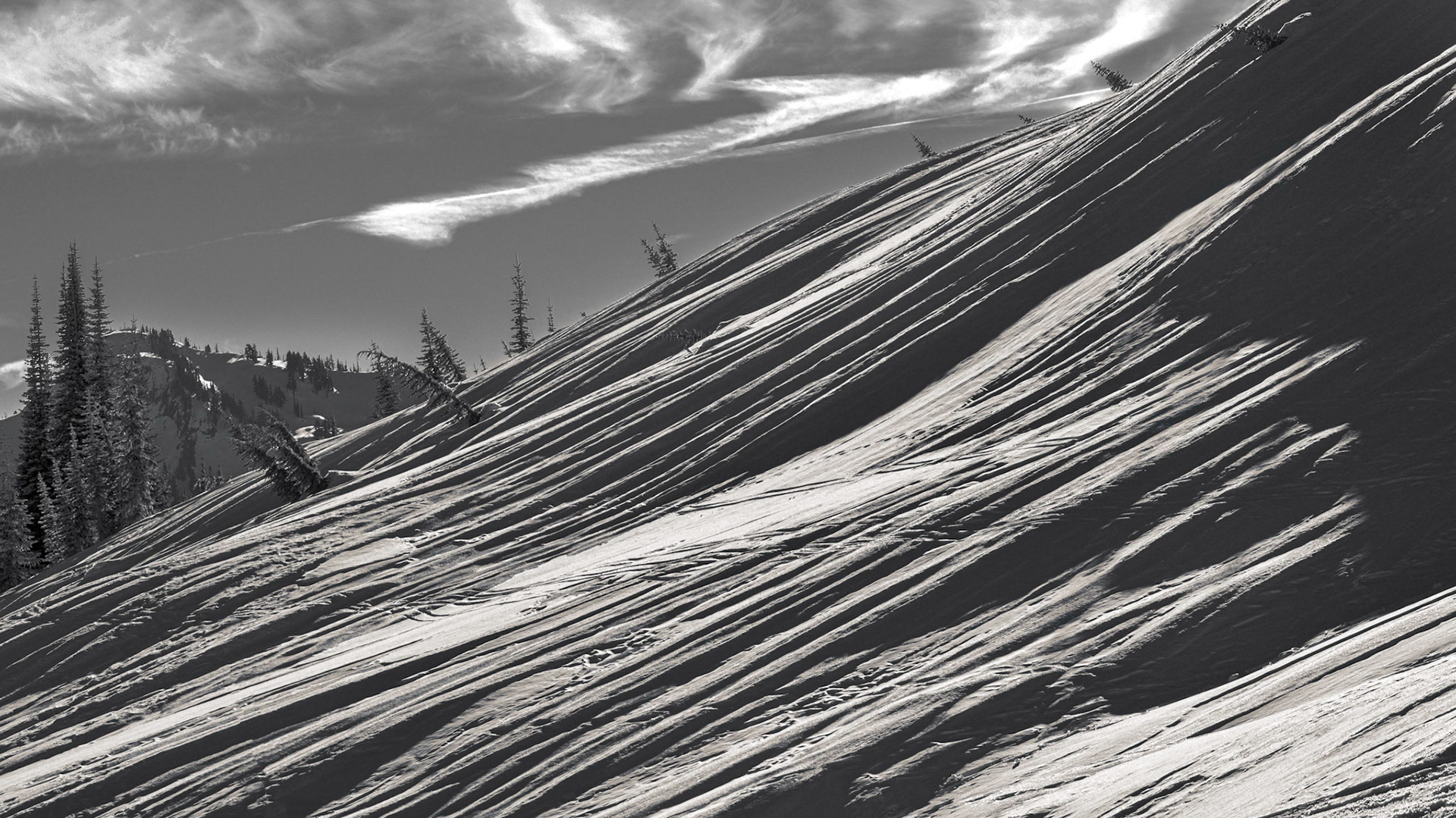 Paradise, Mt. Rainier, 2022-01