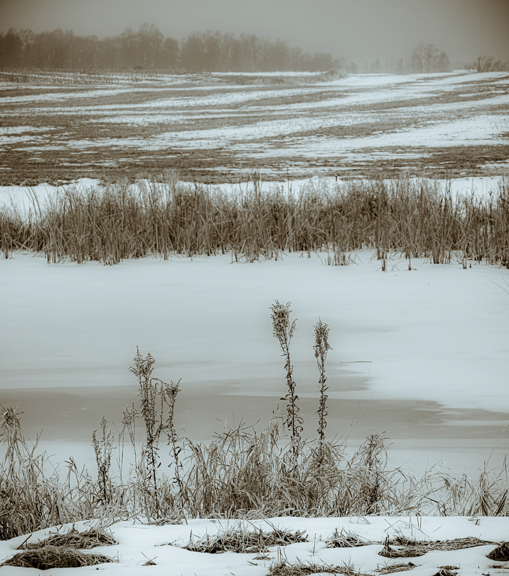 Stockbridge on The Day