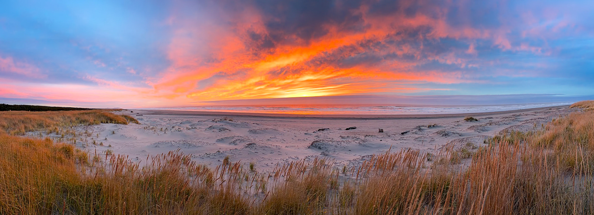 Klipsan Beach Nov2025