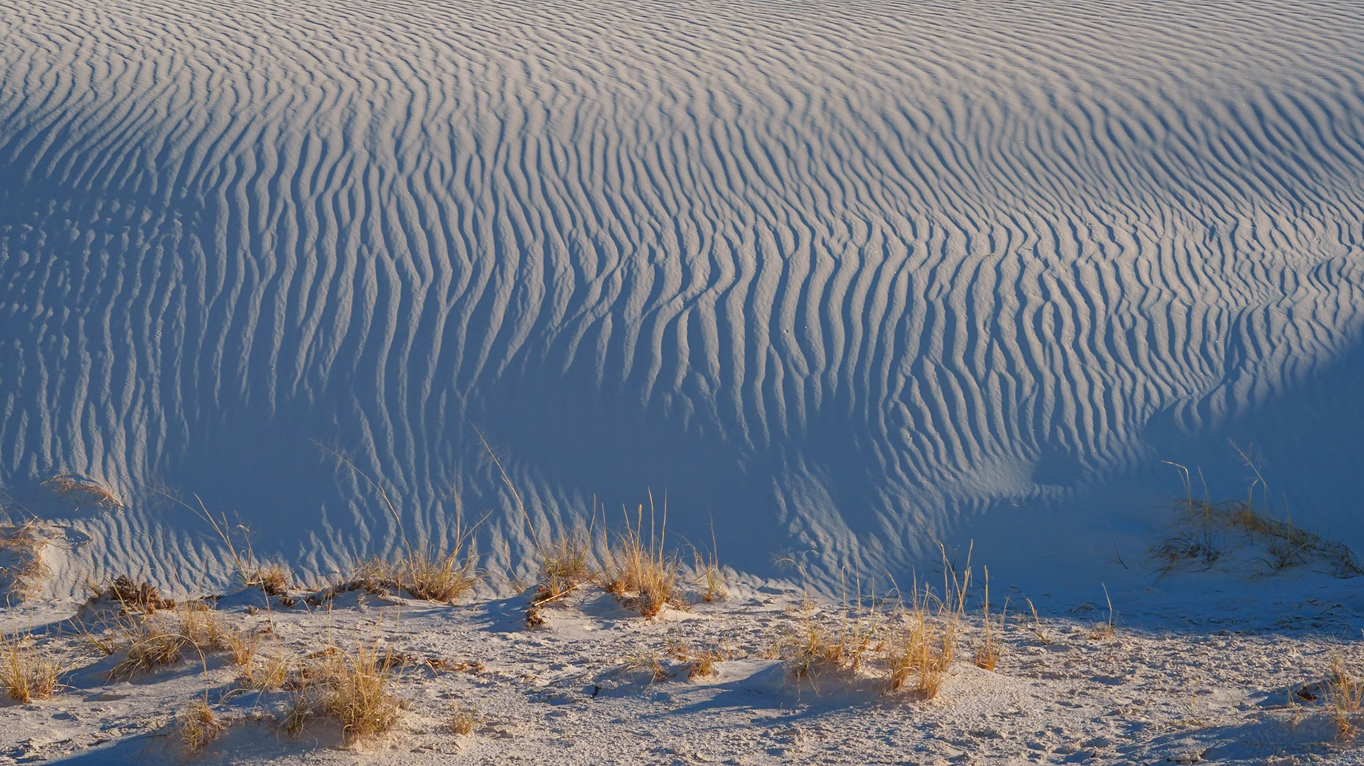 White Sands N.P.