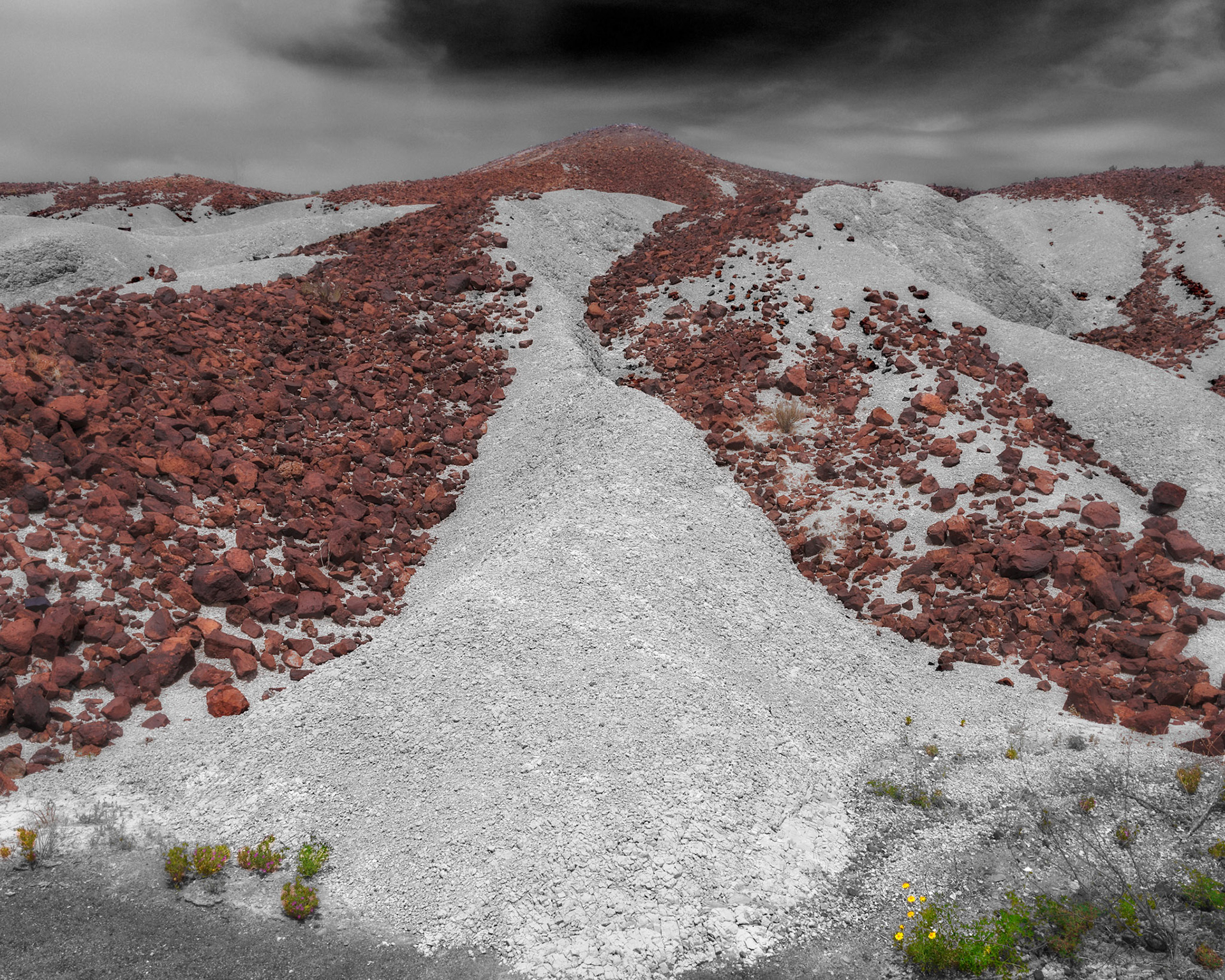 Big Bend N.P. April2024