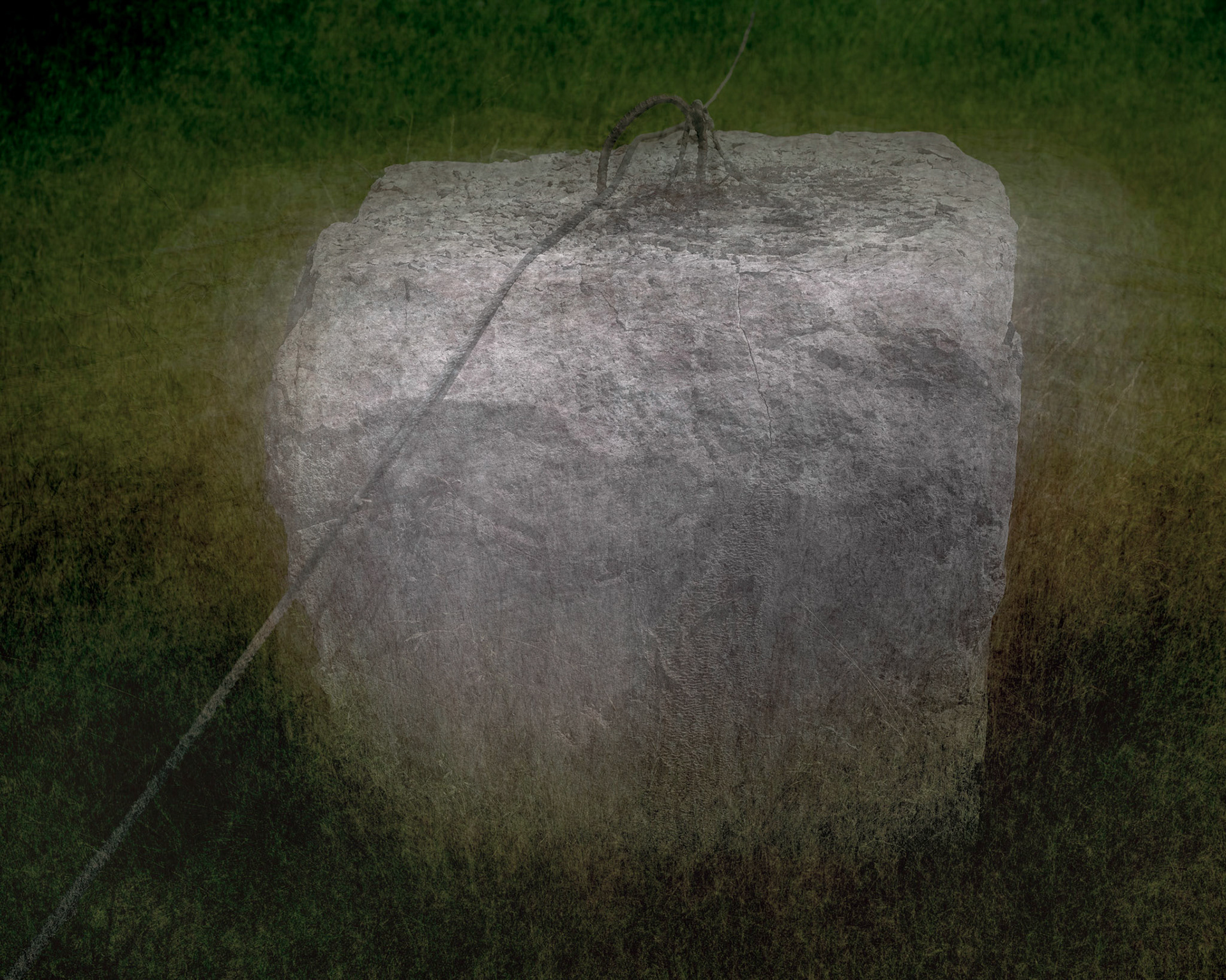 Near Snohomish, June 2021