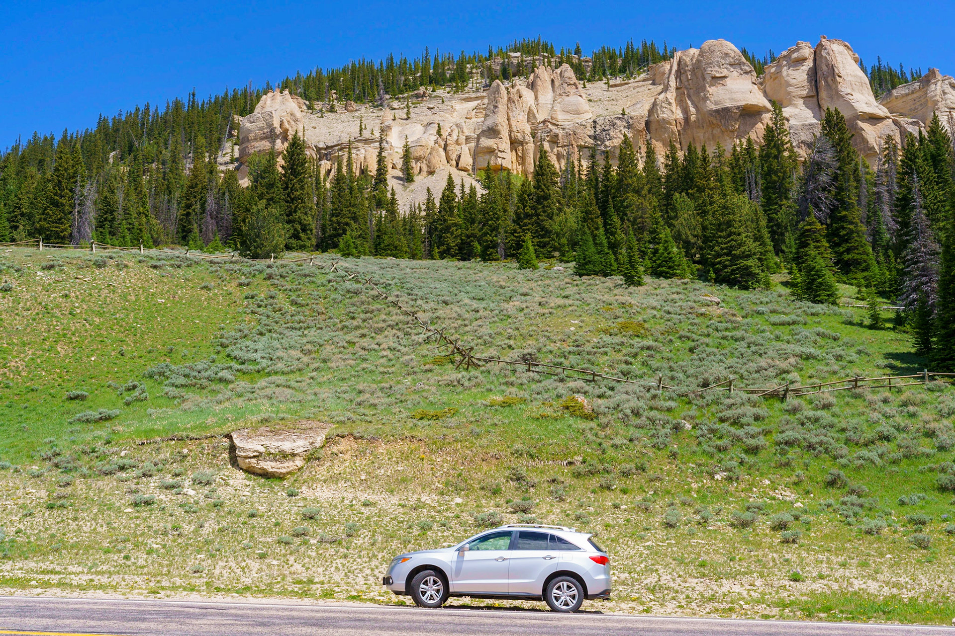 Bighorn Mtns, WY June 2021