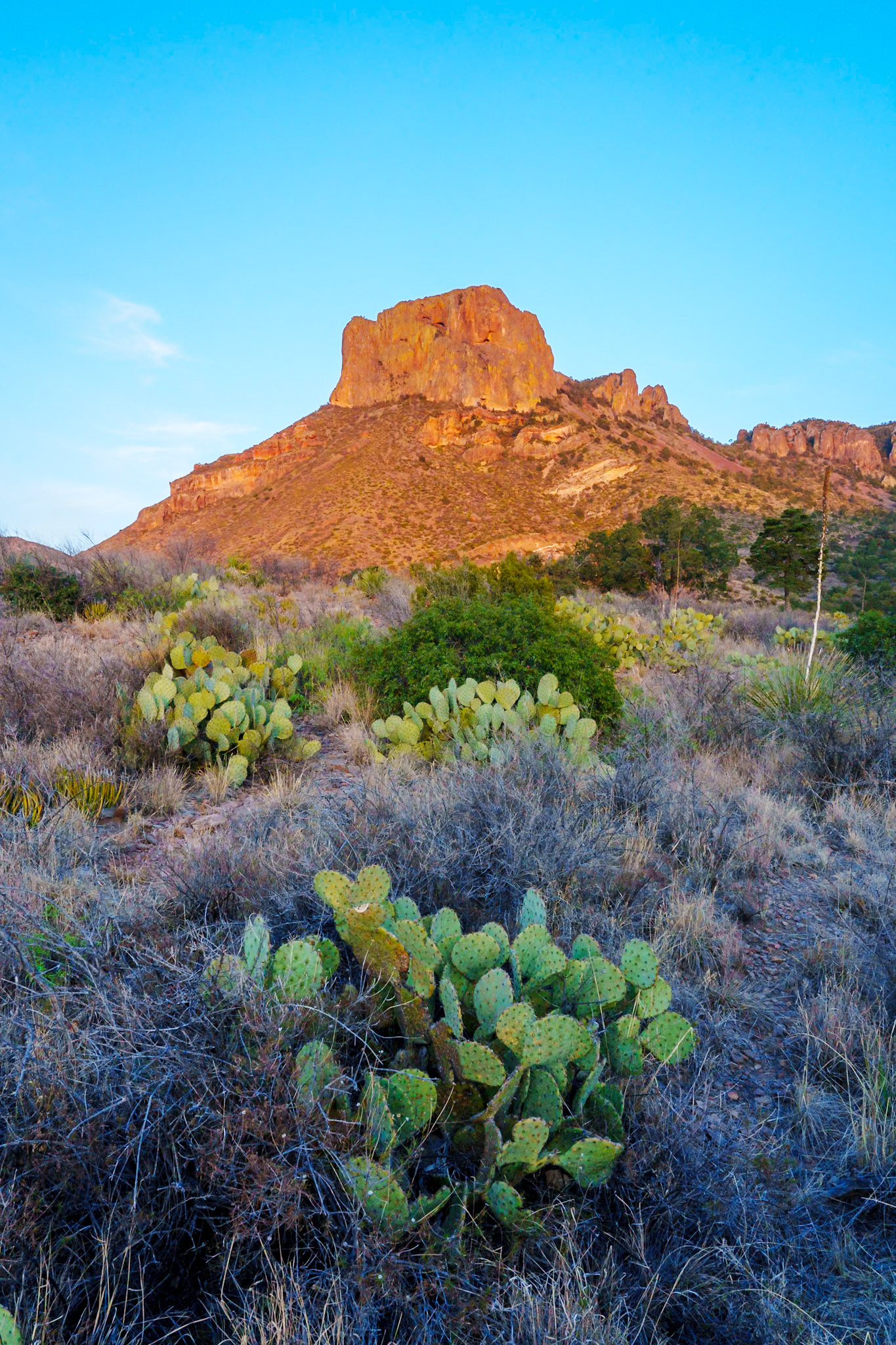 Arrival at Big Bend NP