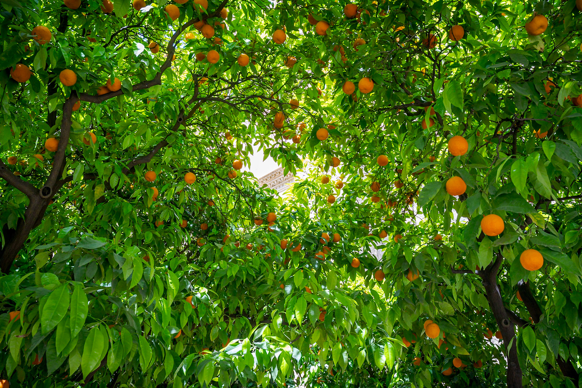 Granada, Spain April2023